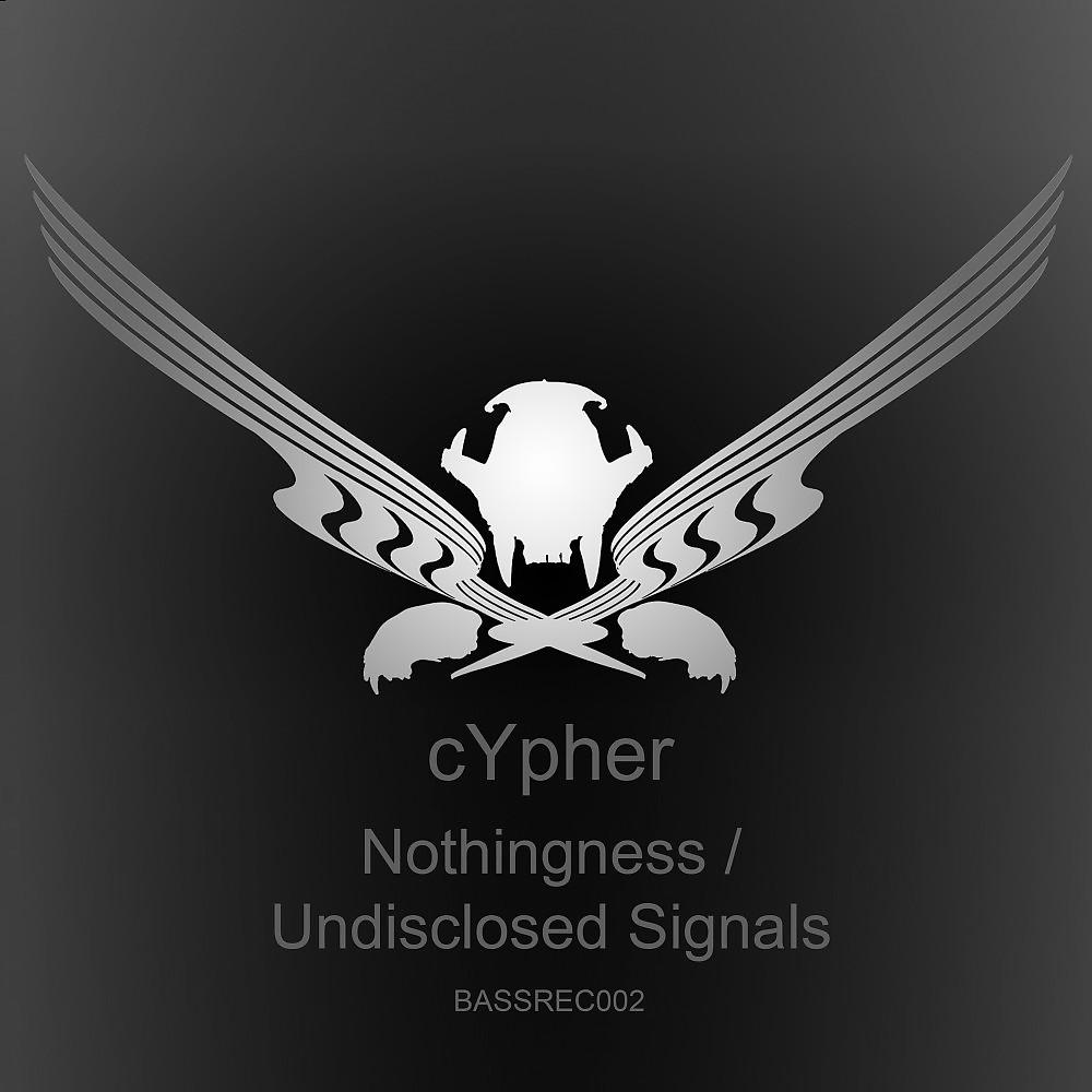 Постер альбома Nothingness / Undisclosed Signals