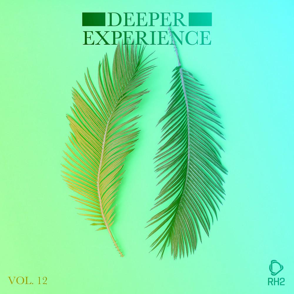 Постер альбома Deeper Experience, Vol. 12