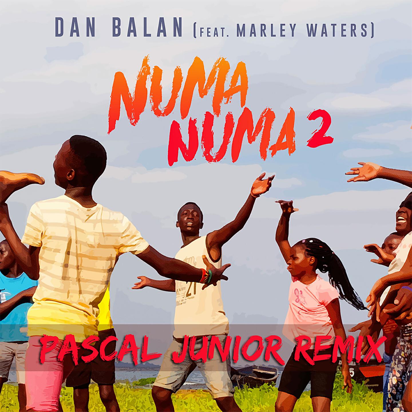 Dan Balan - Numa Numa 2 (Pascal Junior Remix)