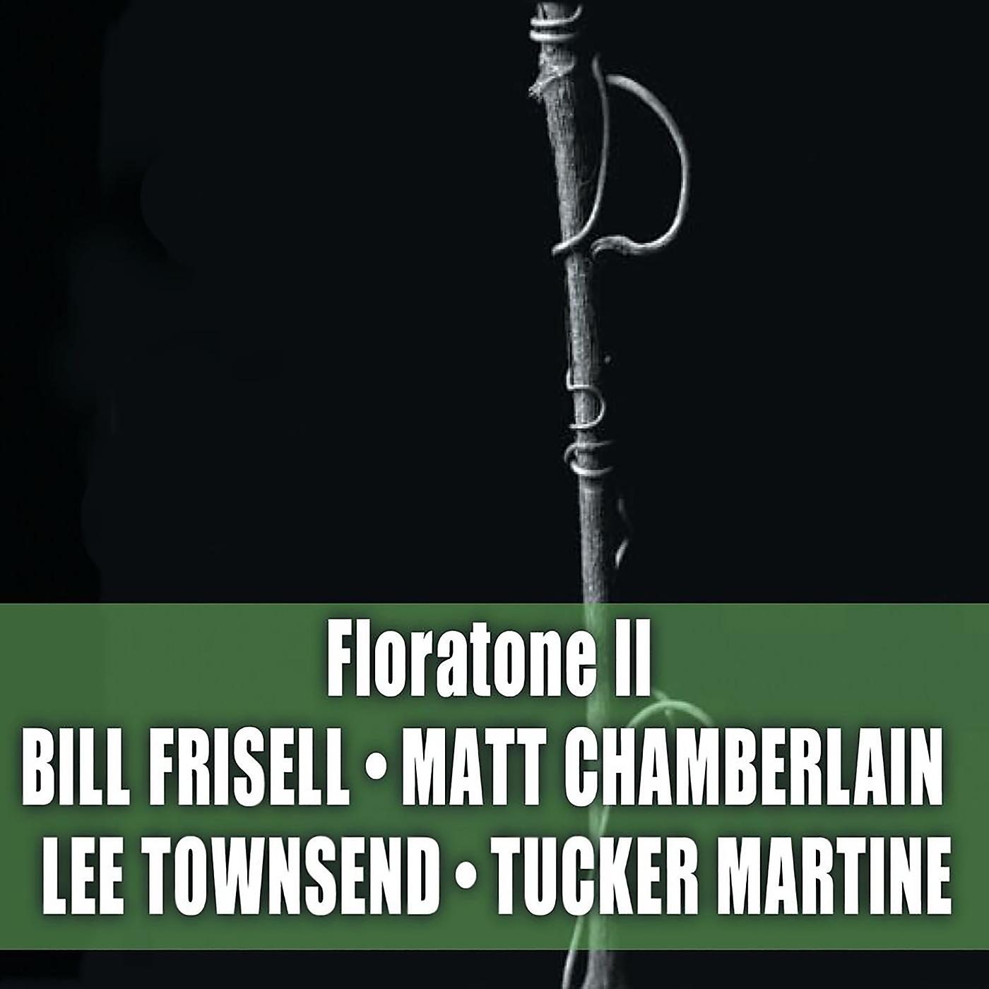 Постер альбома Floratone II