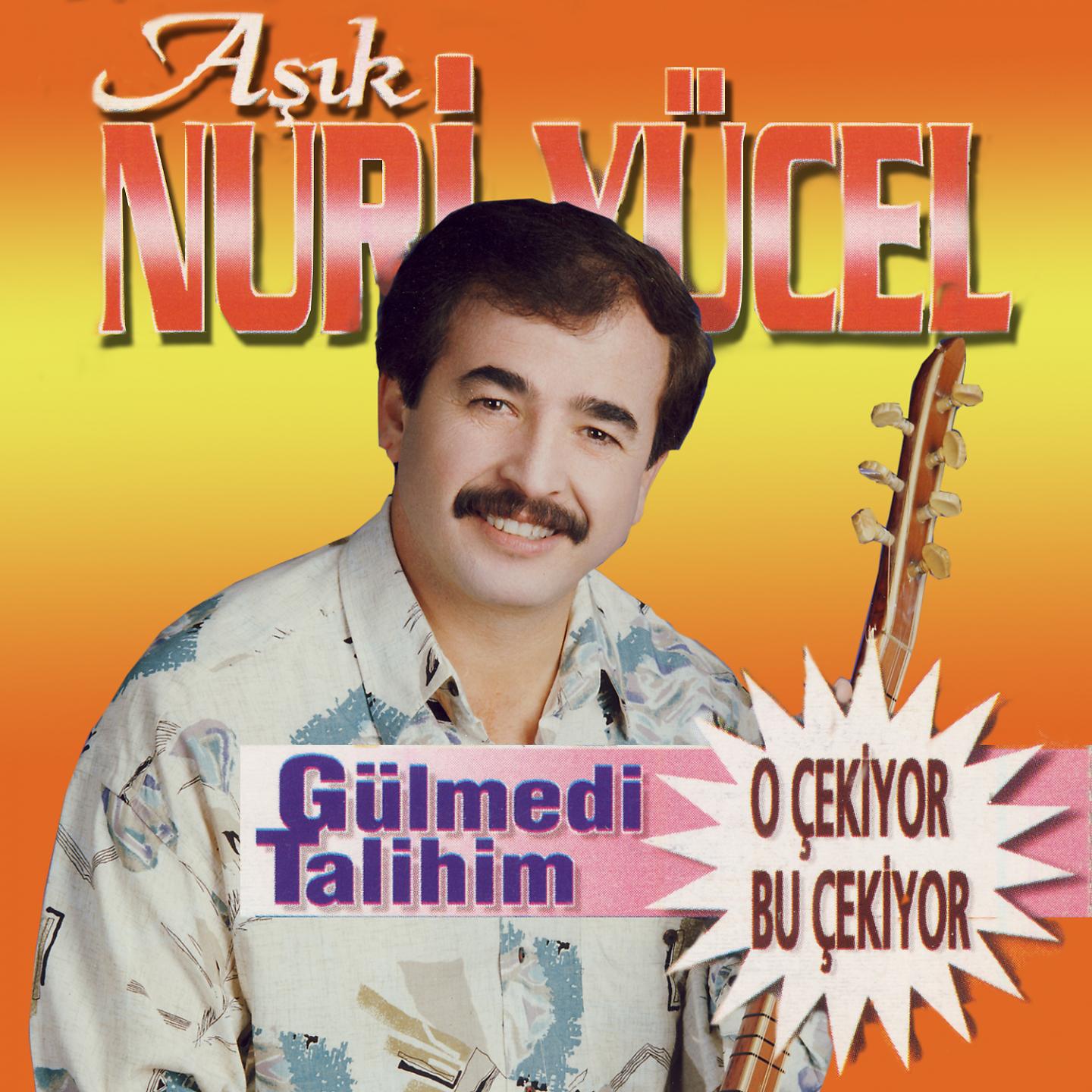 Постер альбома Gülmedi Talihim