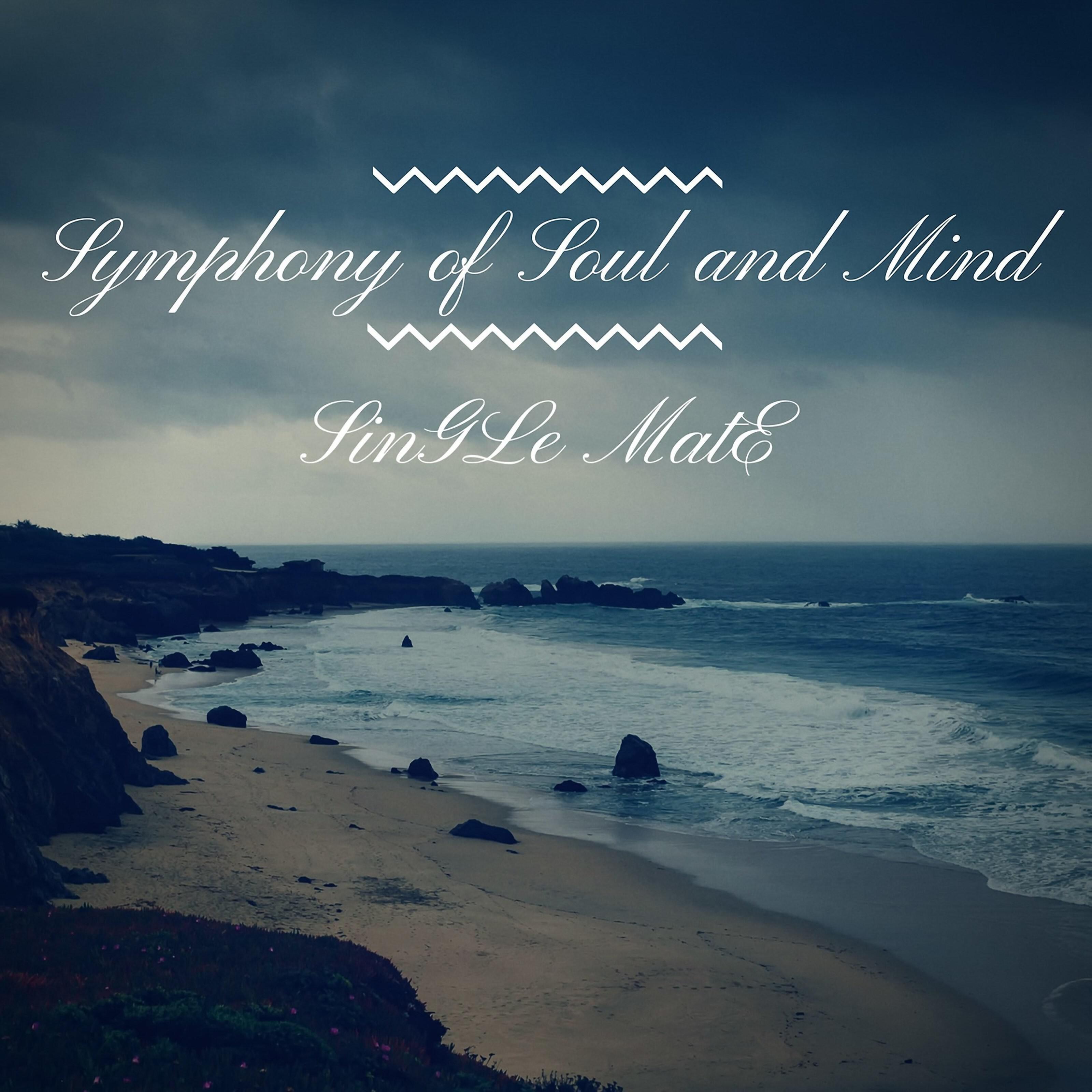 SinGLe MatE - Symphony of Soul and Mind, Act II (Against All)