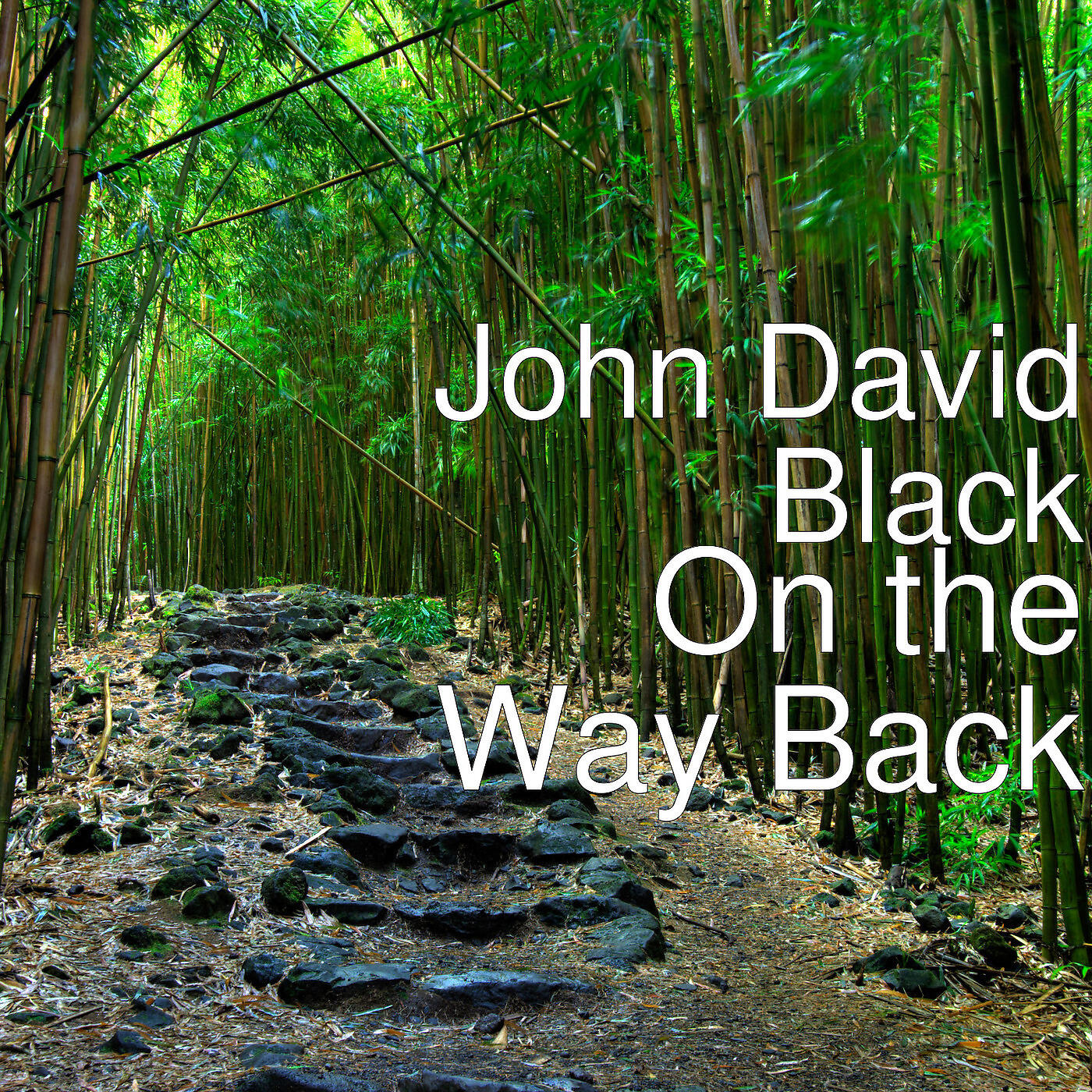 John David Black - Letting Go...