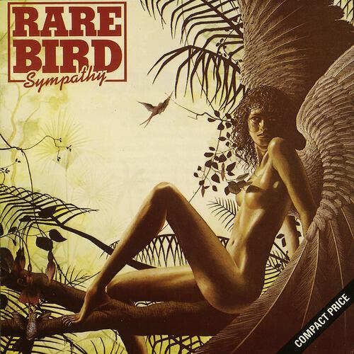 Rare Bird - Hammerhead