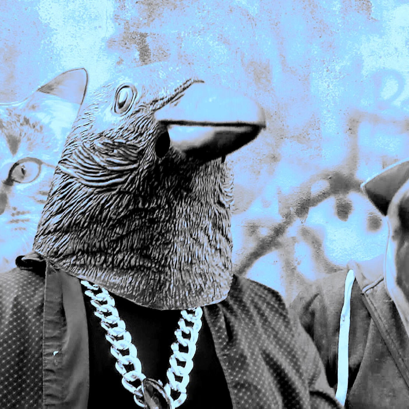David King - Crazy Crow