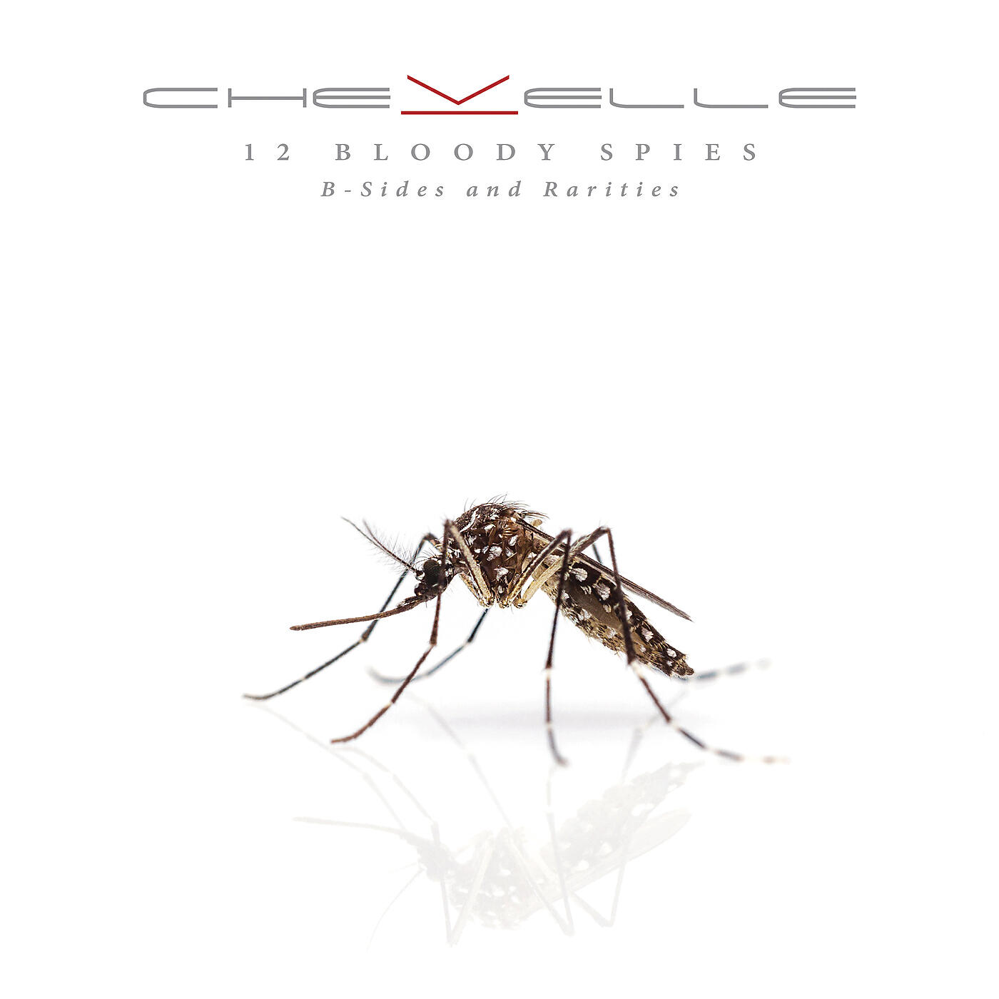 Chevelle - Fizgig