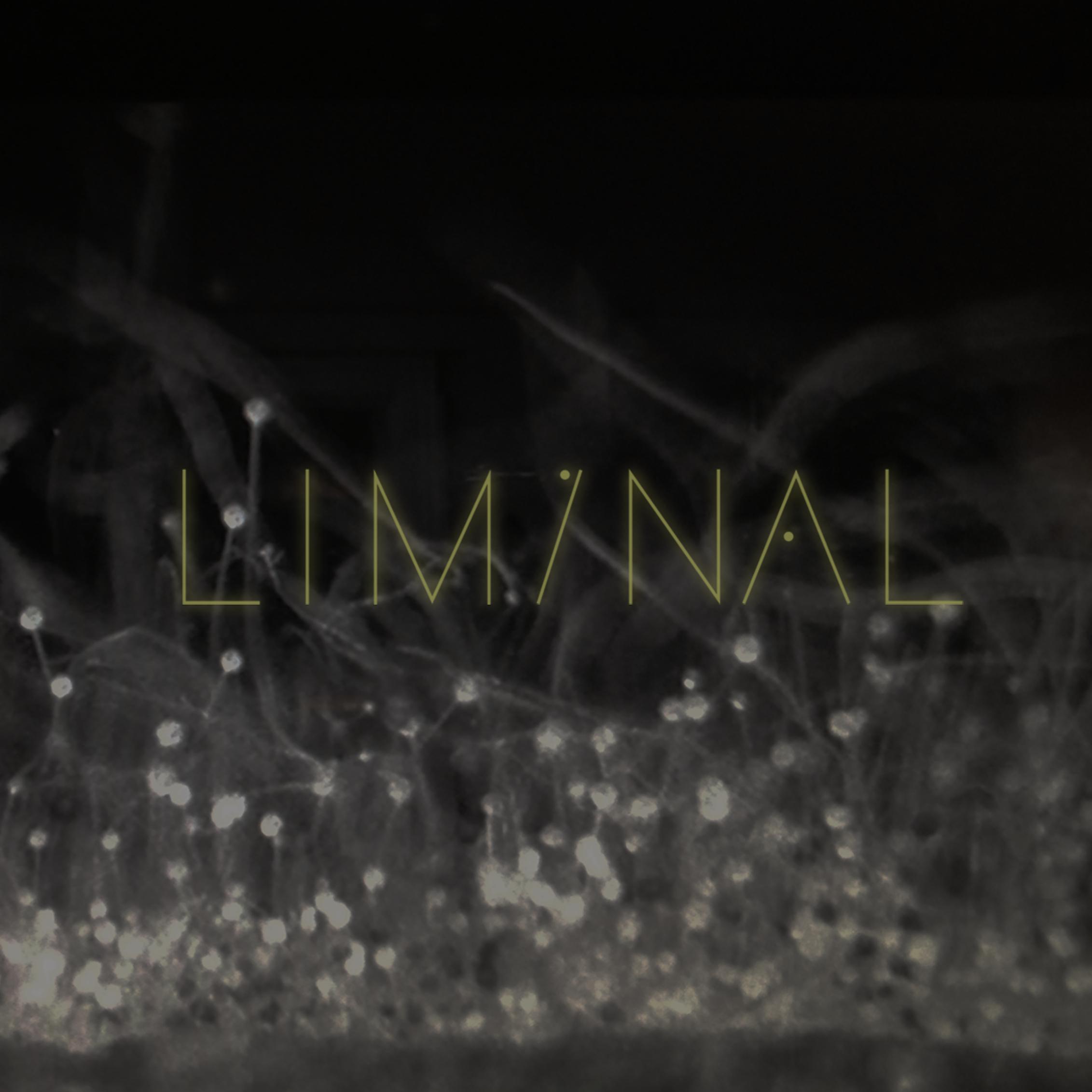 Постер альбома Liminal 2