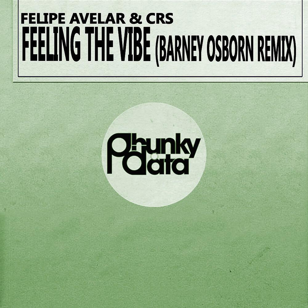 Felipe Avelar & CRS - Feeling the Vibe (Barney Osborn Remix)