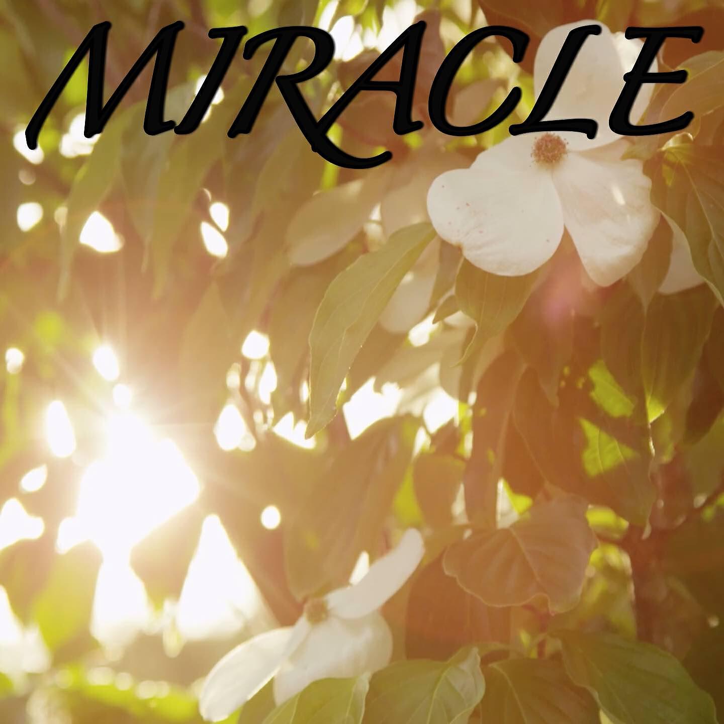 2018 Dj Moodz - Miracle / Tribute to Chvrches