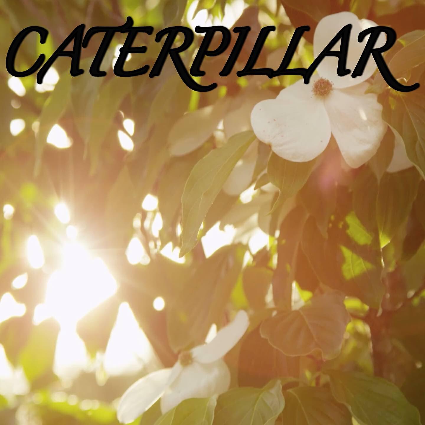 2018 Dj Moodz - Caterpillar / Tribute to Royce Da 5'9, Eminem and King Green