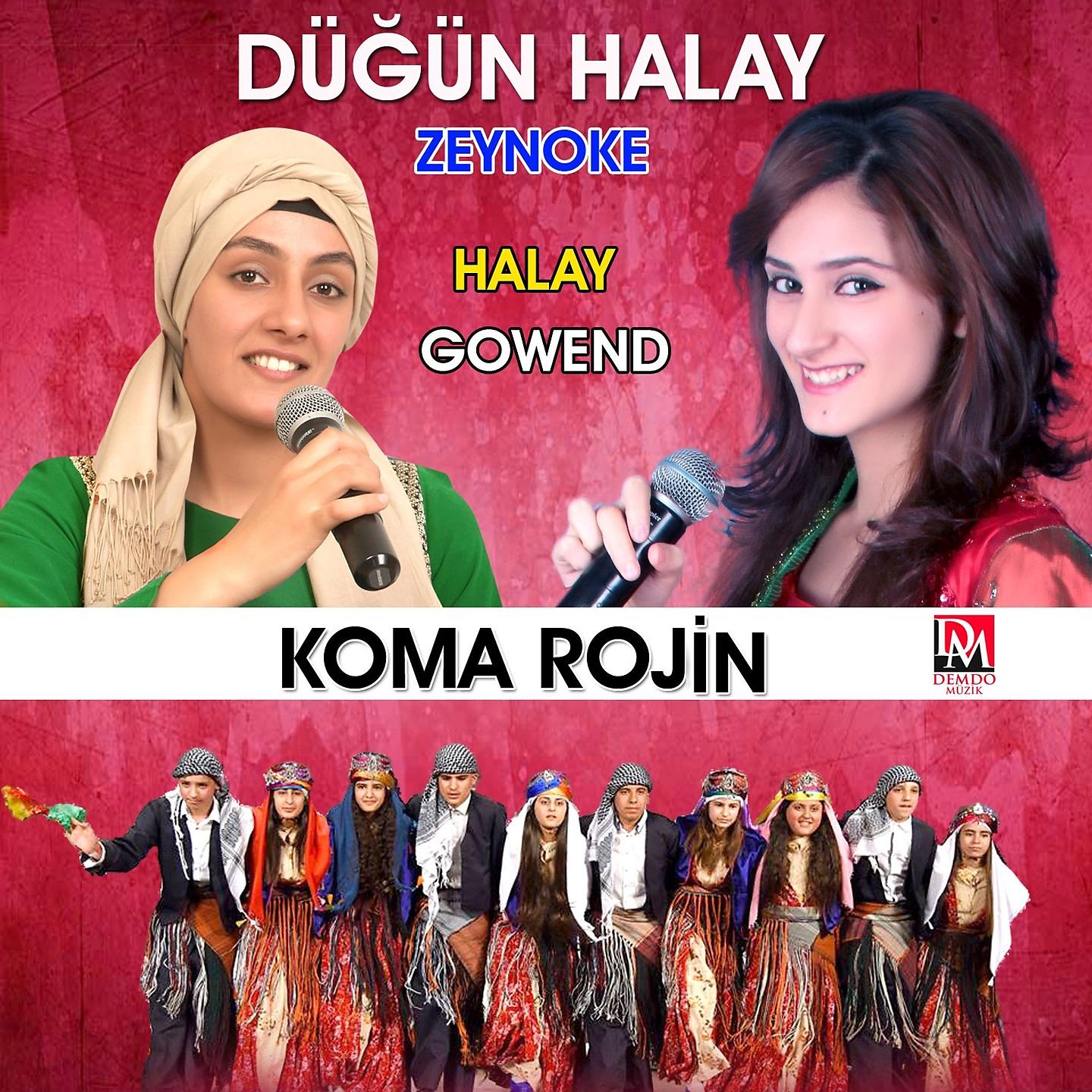 Постер альбома Düğün Halay