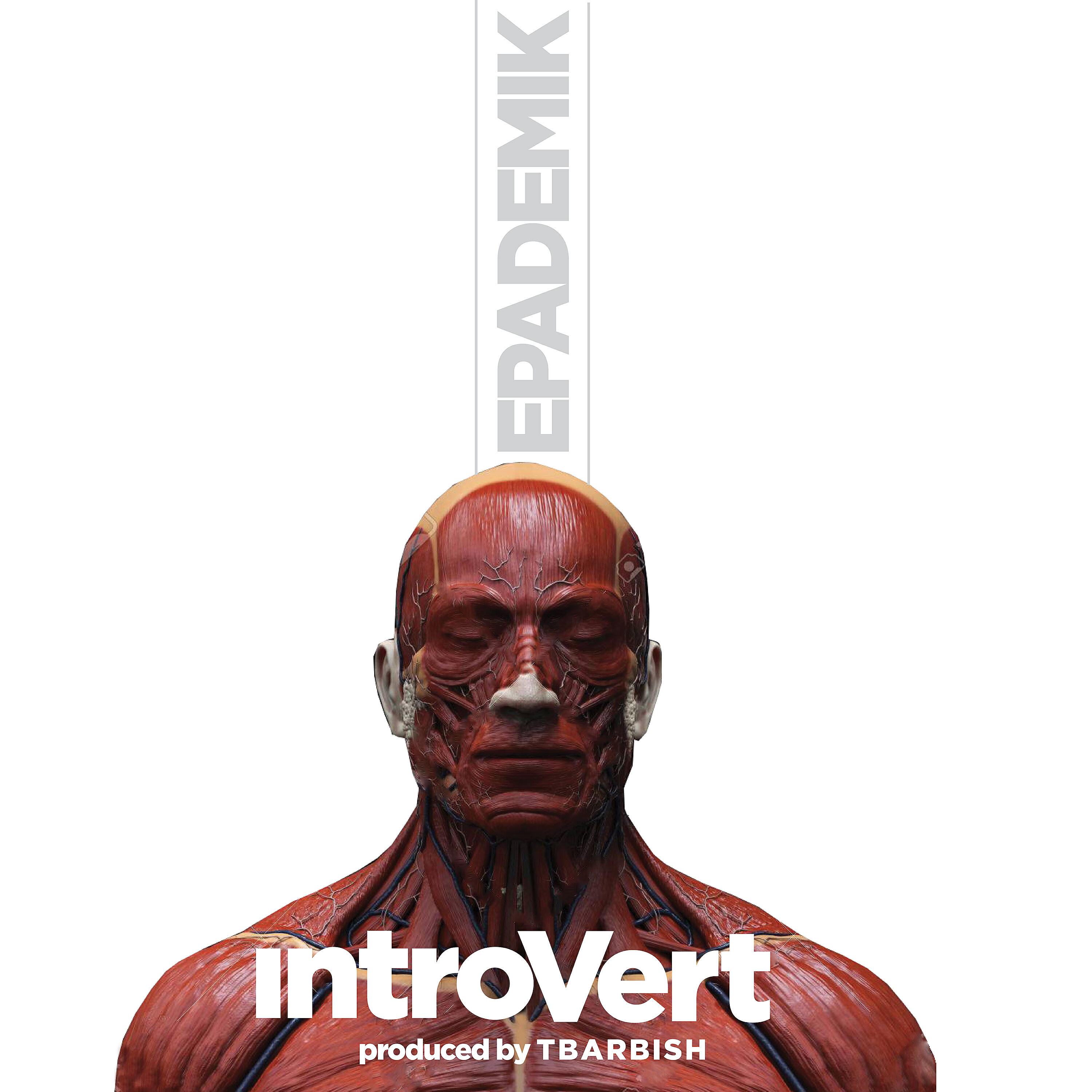Epademik - IntroVert