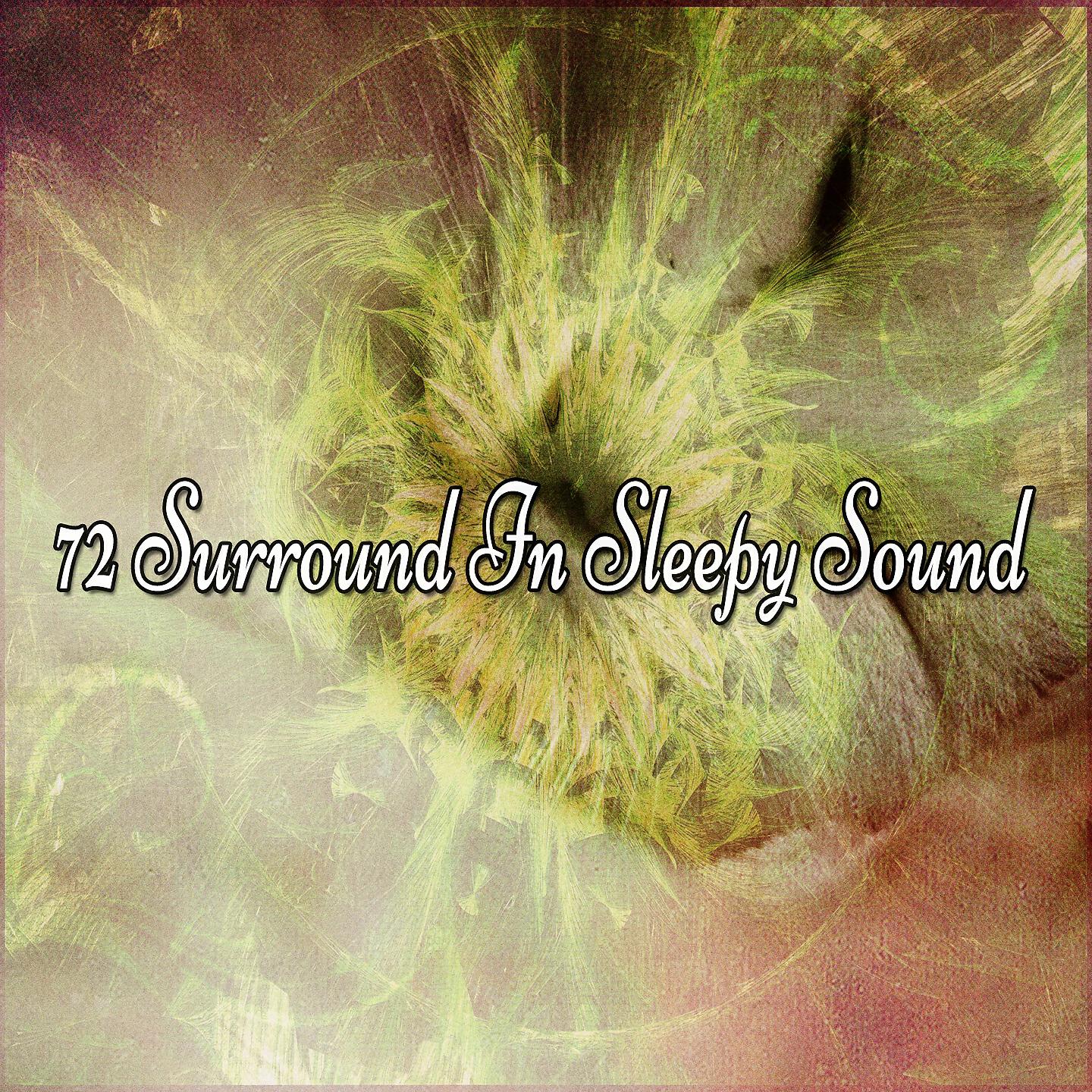 Ocean Sounds Collection - The Tranquil Forest