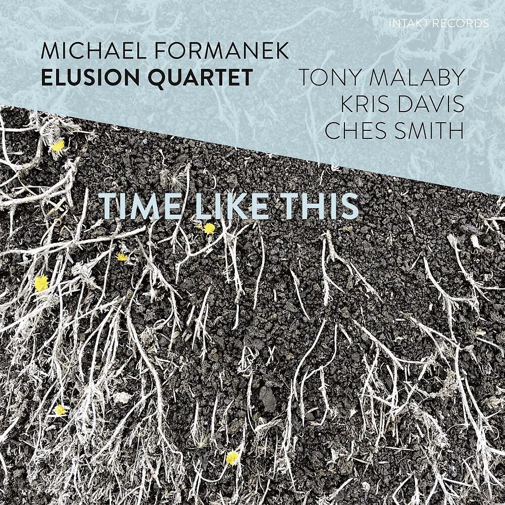 Michael Formanek - The Soul Goodbye