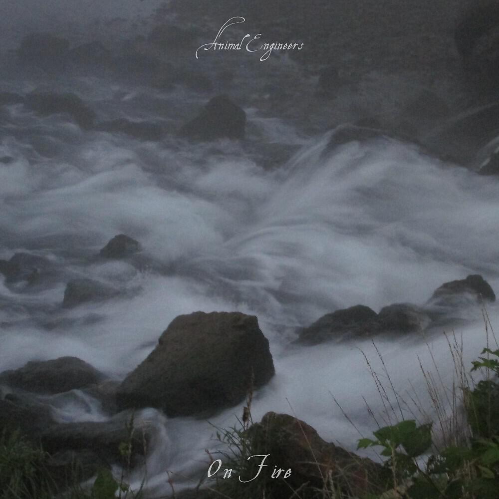 Animal Engineers - Aurora Dream