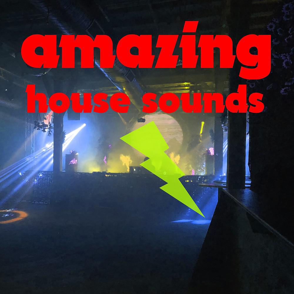Постер альбома Amazing House Sounds
