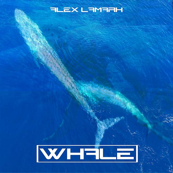 Постер альбома Whale