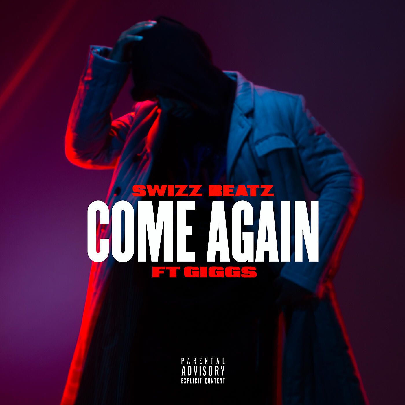 Swizz Beatz - Come Again
