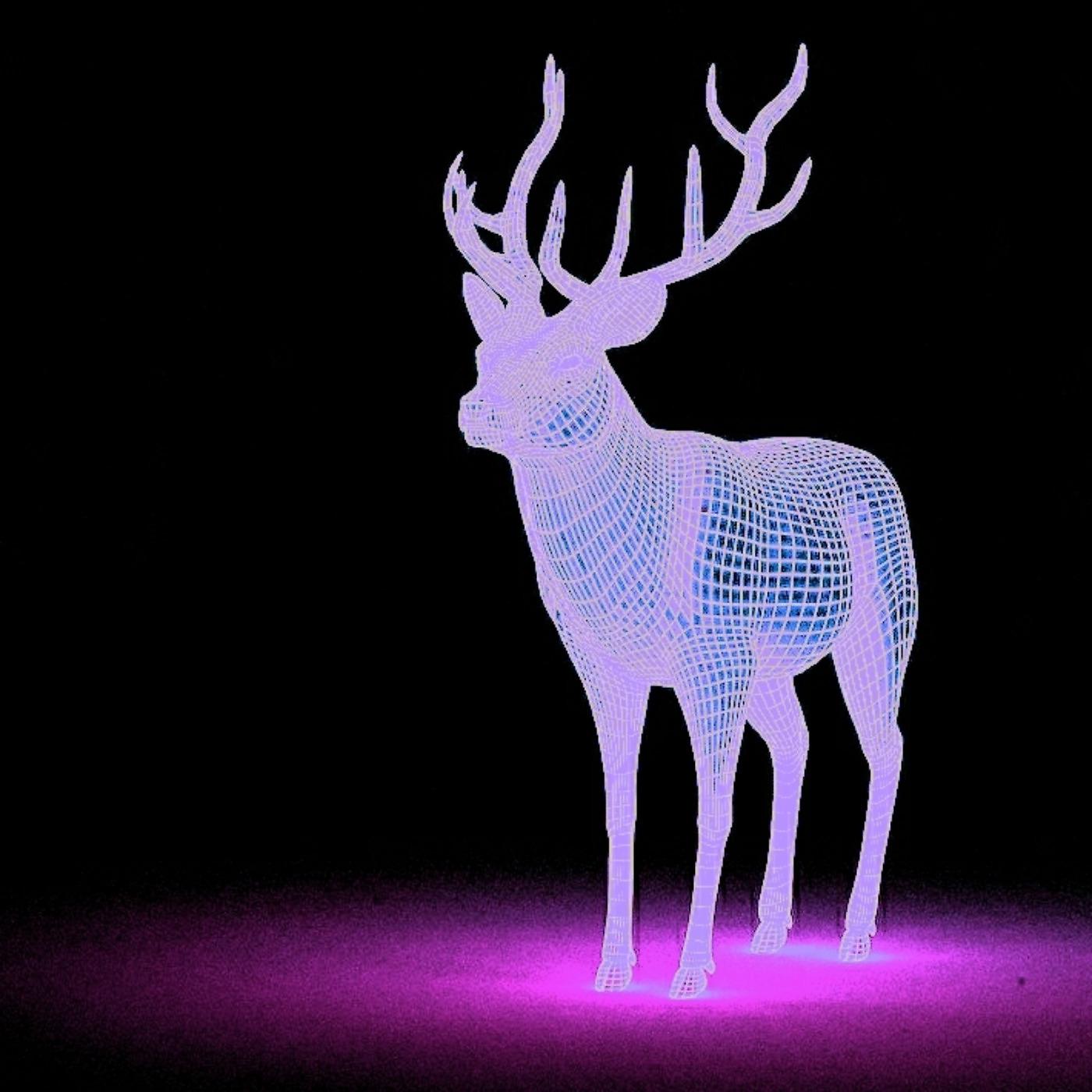 Постер альбома Oh Deer! but Reindeer... (Trance Mix)