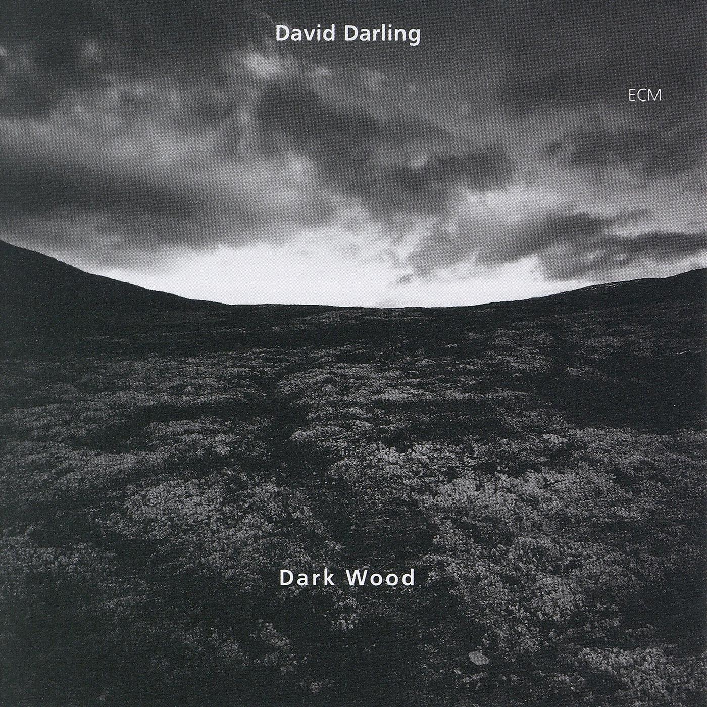 Постер альбома Dark Wood