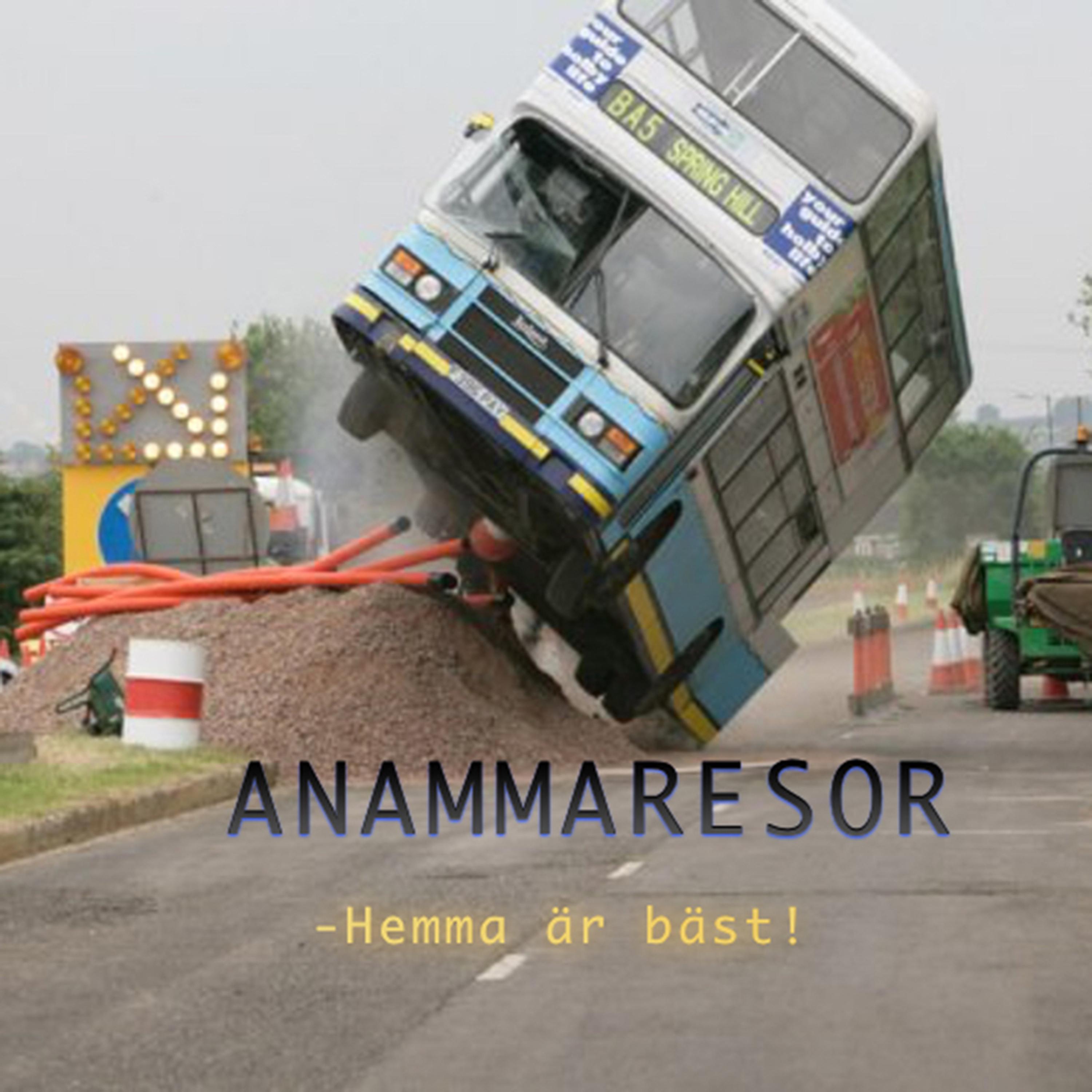 Постер альбома Anammaresor - Hemma Är Bäst
