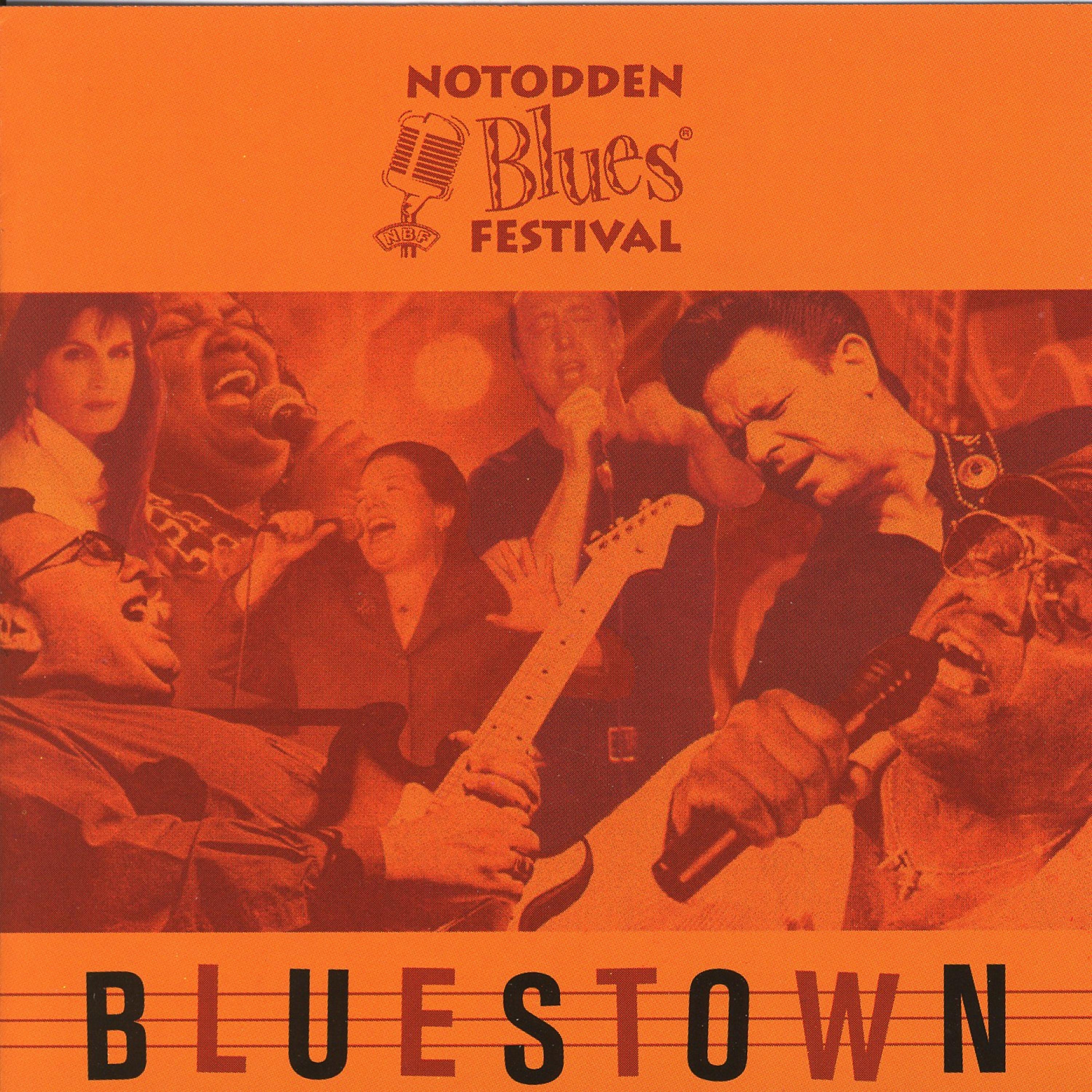 Постер альбома Notodden Bluesfestival - Bluestown