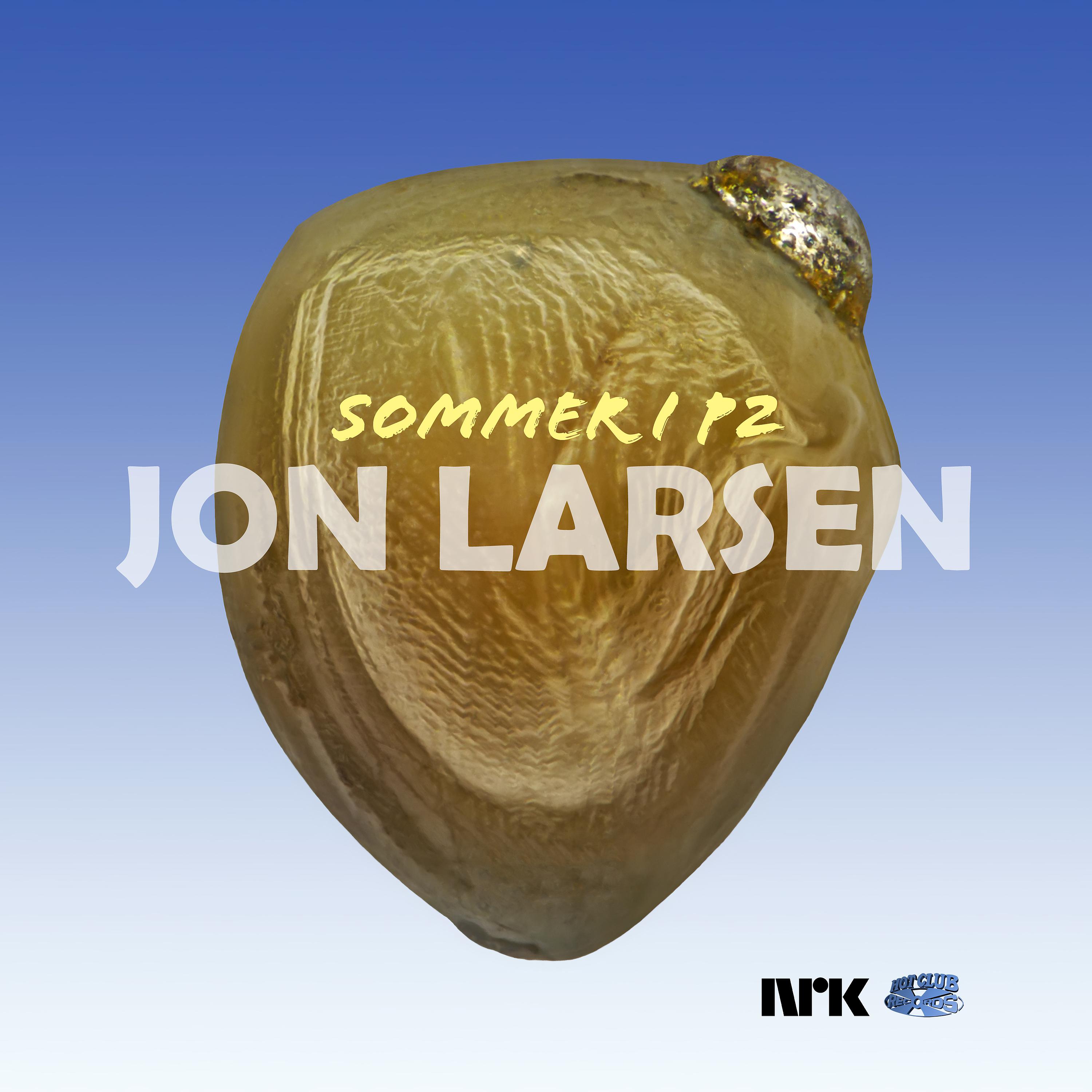 Постер альбома Sommer i P2 | I stjernestøvets alder