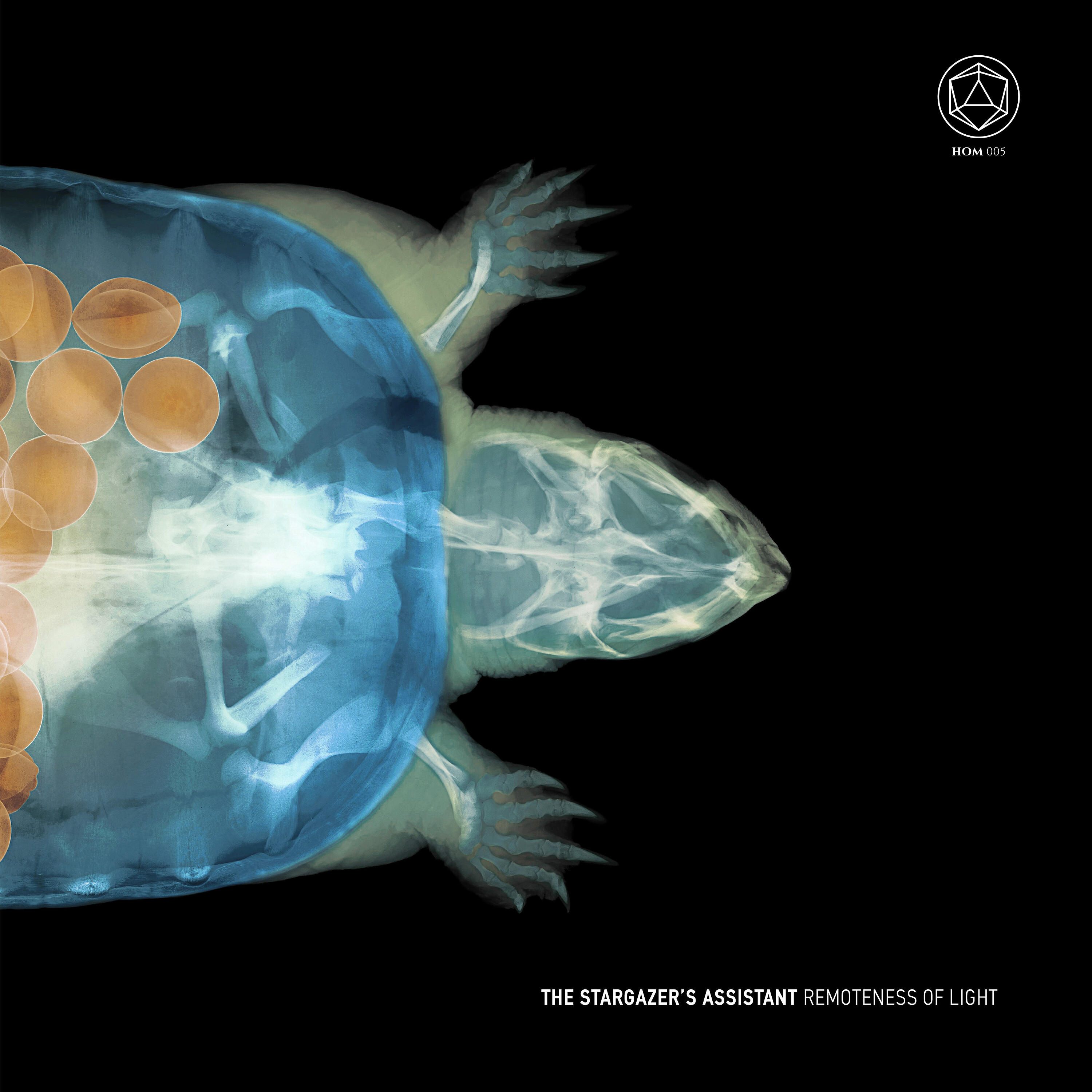 The Stargazer's Assistant - Agents of Altitude