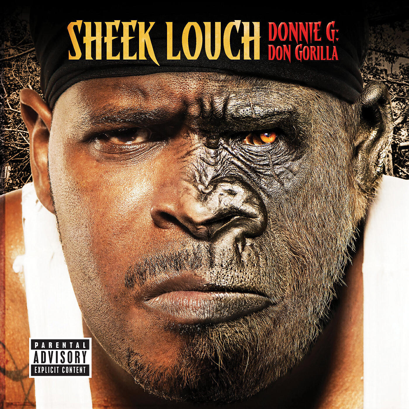 Sheek Louch - Picture Phone Foreplay (Album Version (Explicit))