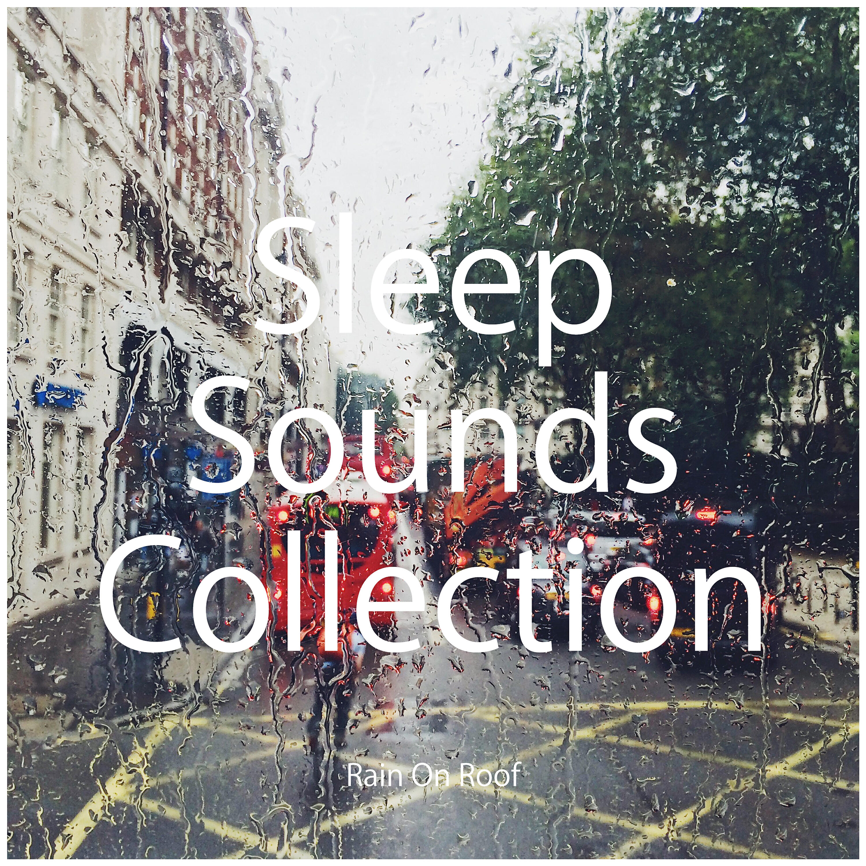 Sleep Sounds Collection - Rain Sounds: Sleep Rain on Car Hood (Loopable)