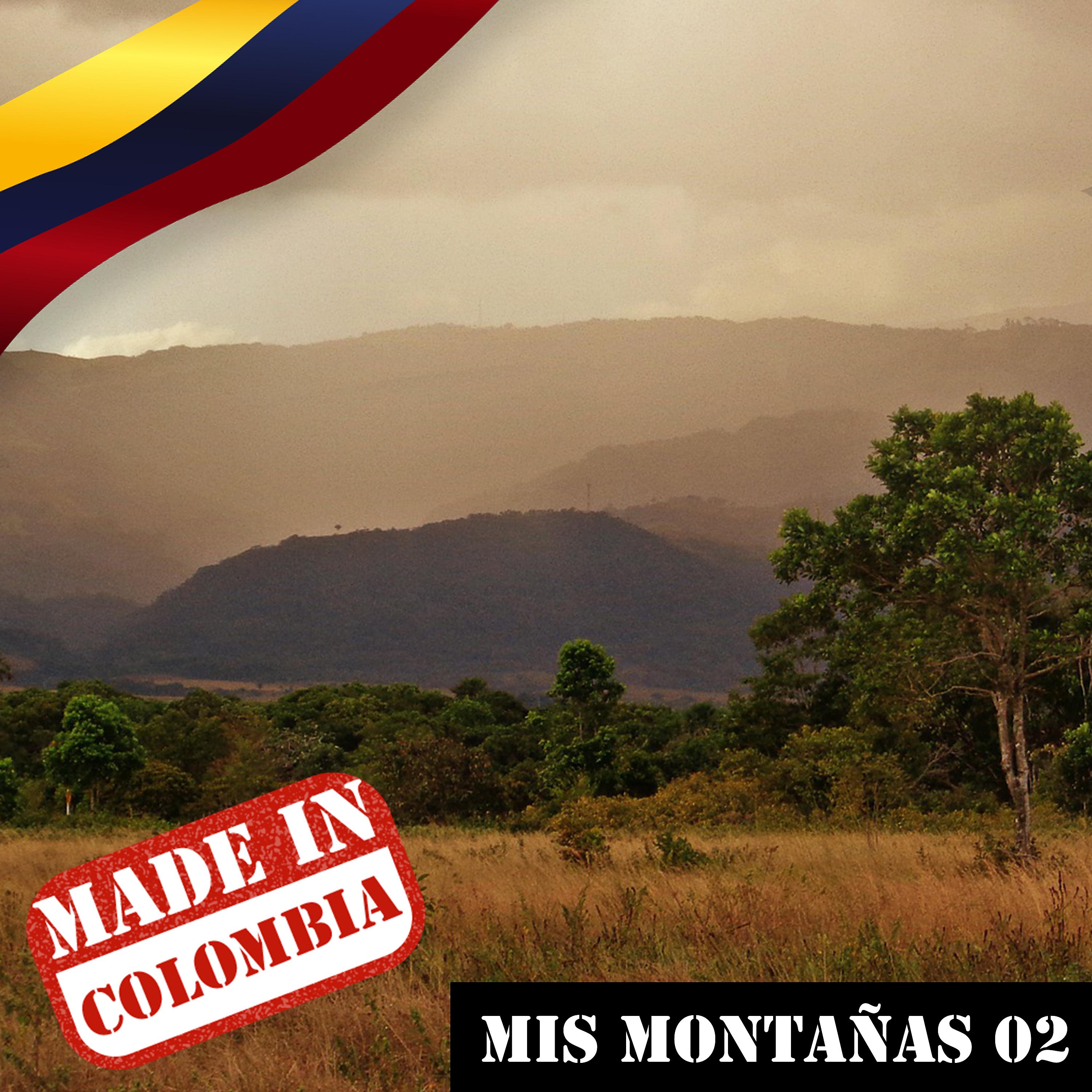 Постер альбома Made In Colombia / Mis Montañas / 2
