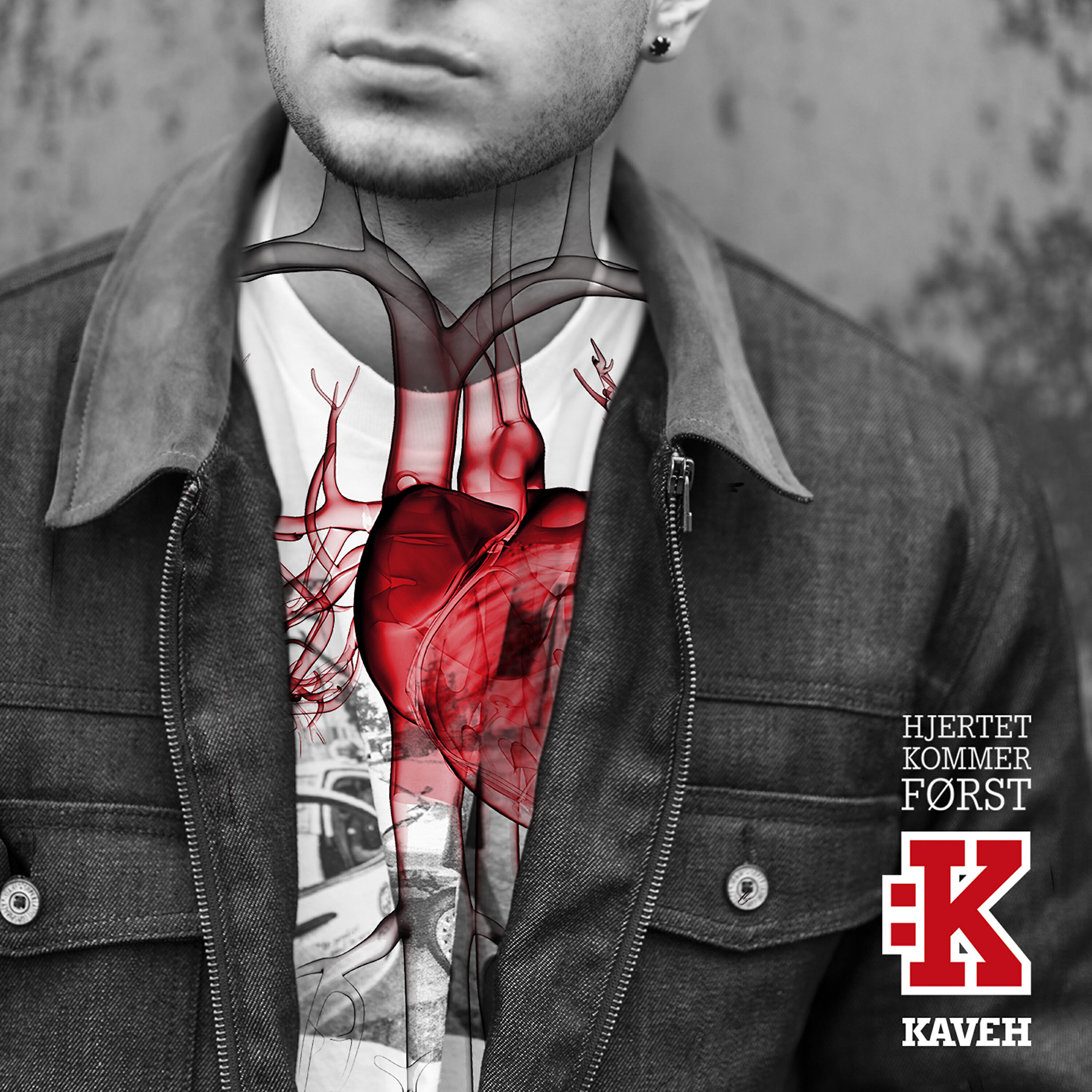 Kaveh Ali Mohammad - Börja om