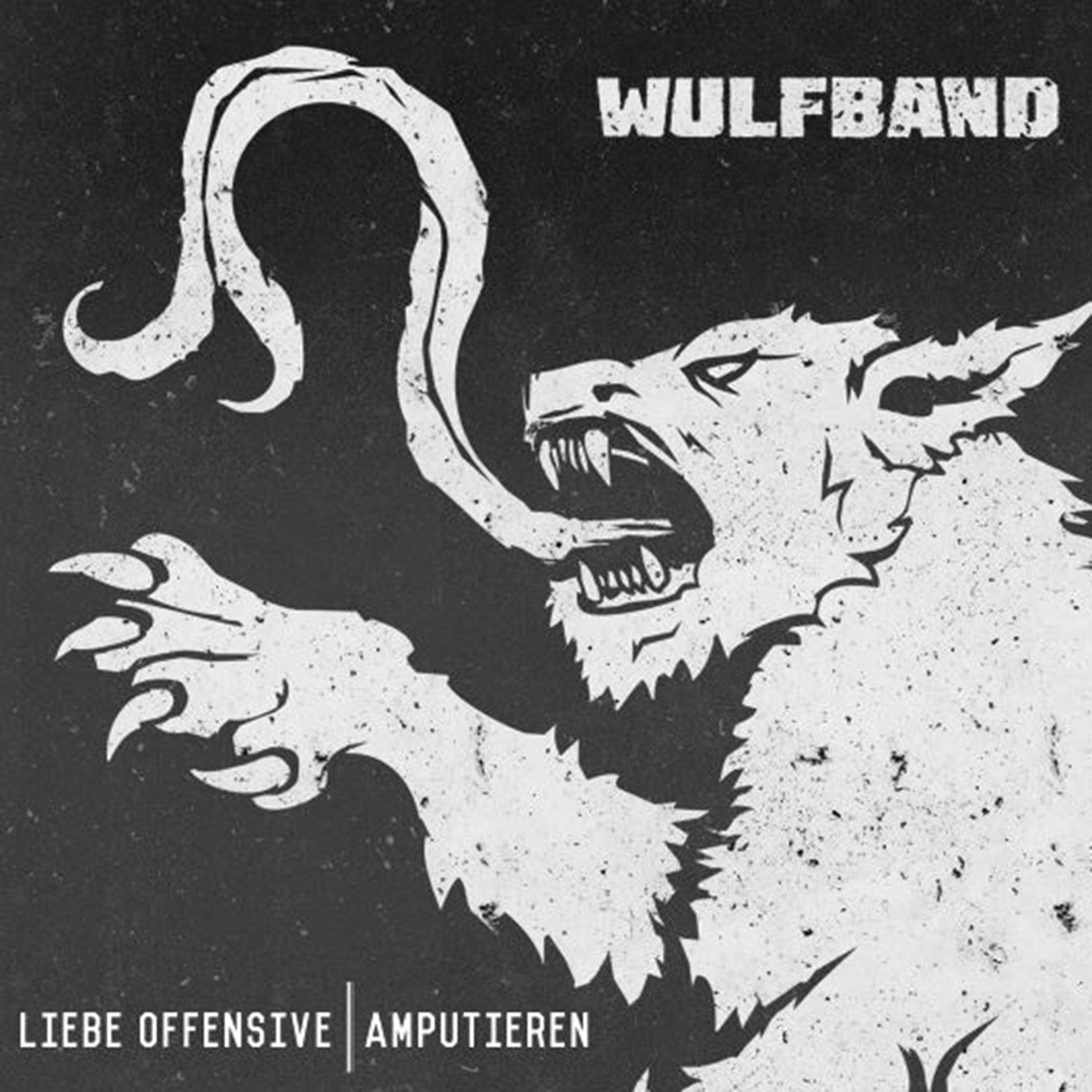 Постер альбома Liebe Offensive - Amputieren