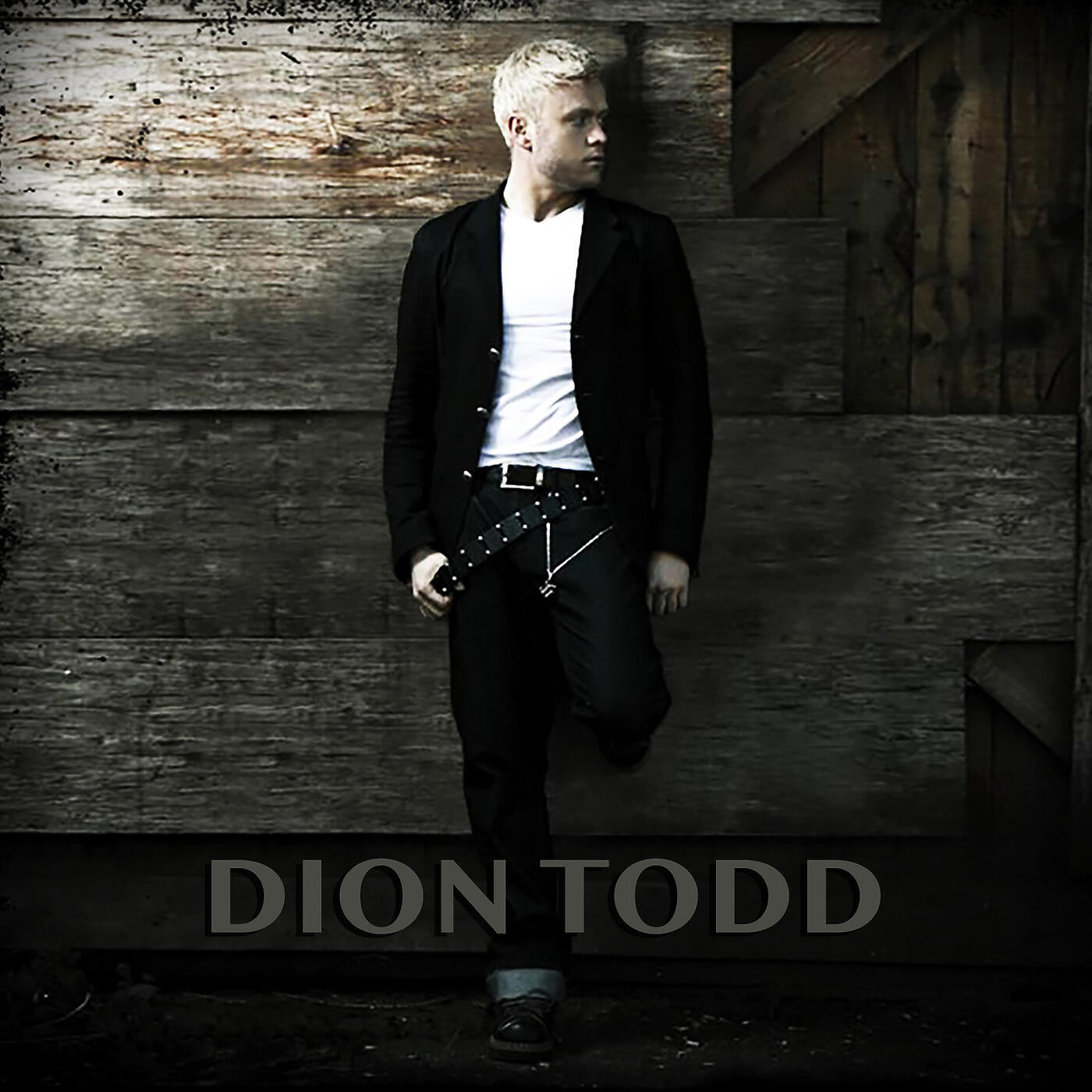 Dion Todd - Sometimes Is Not Enough