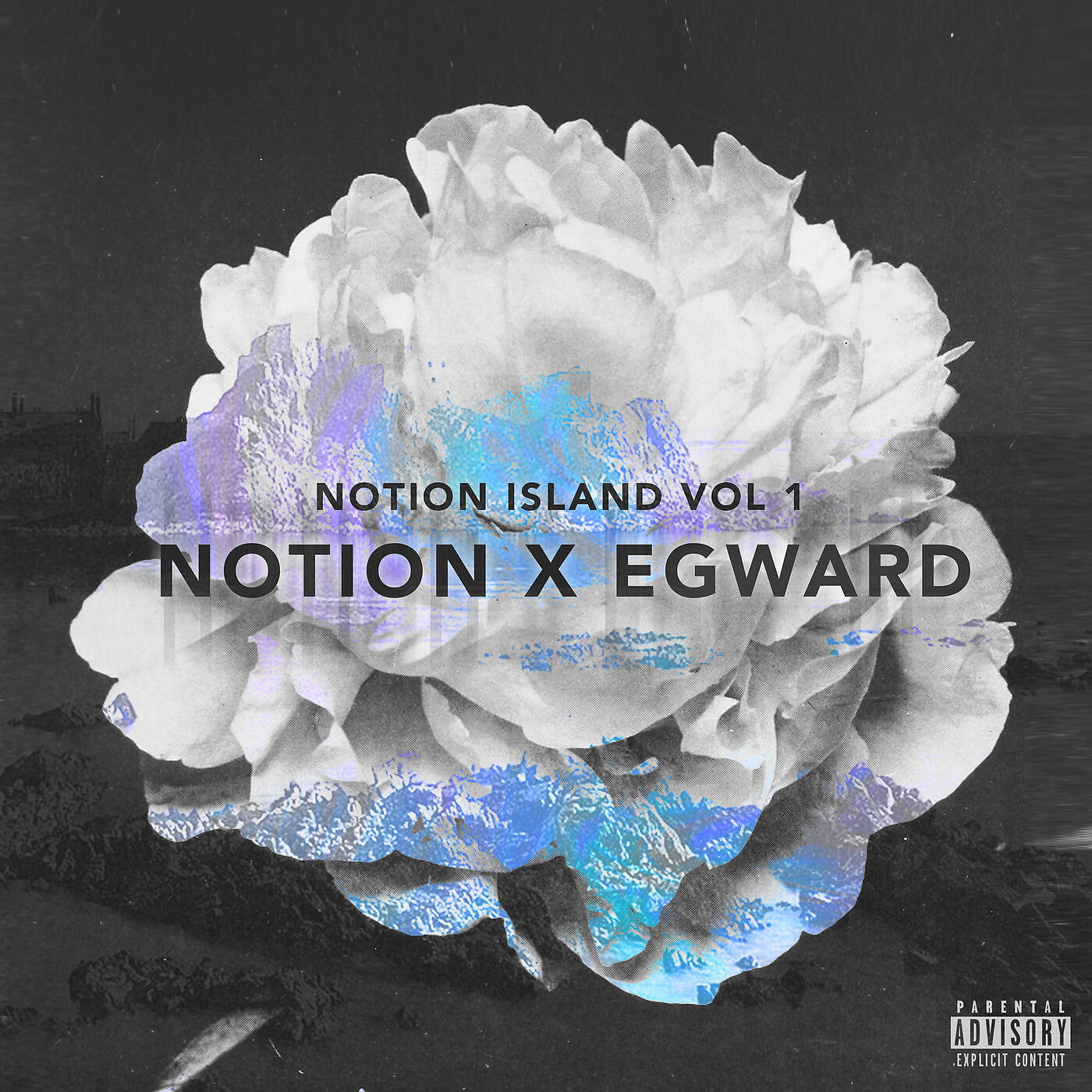 Notion - There Is Beauty
