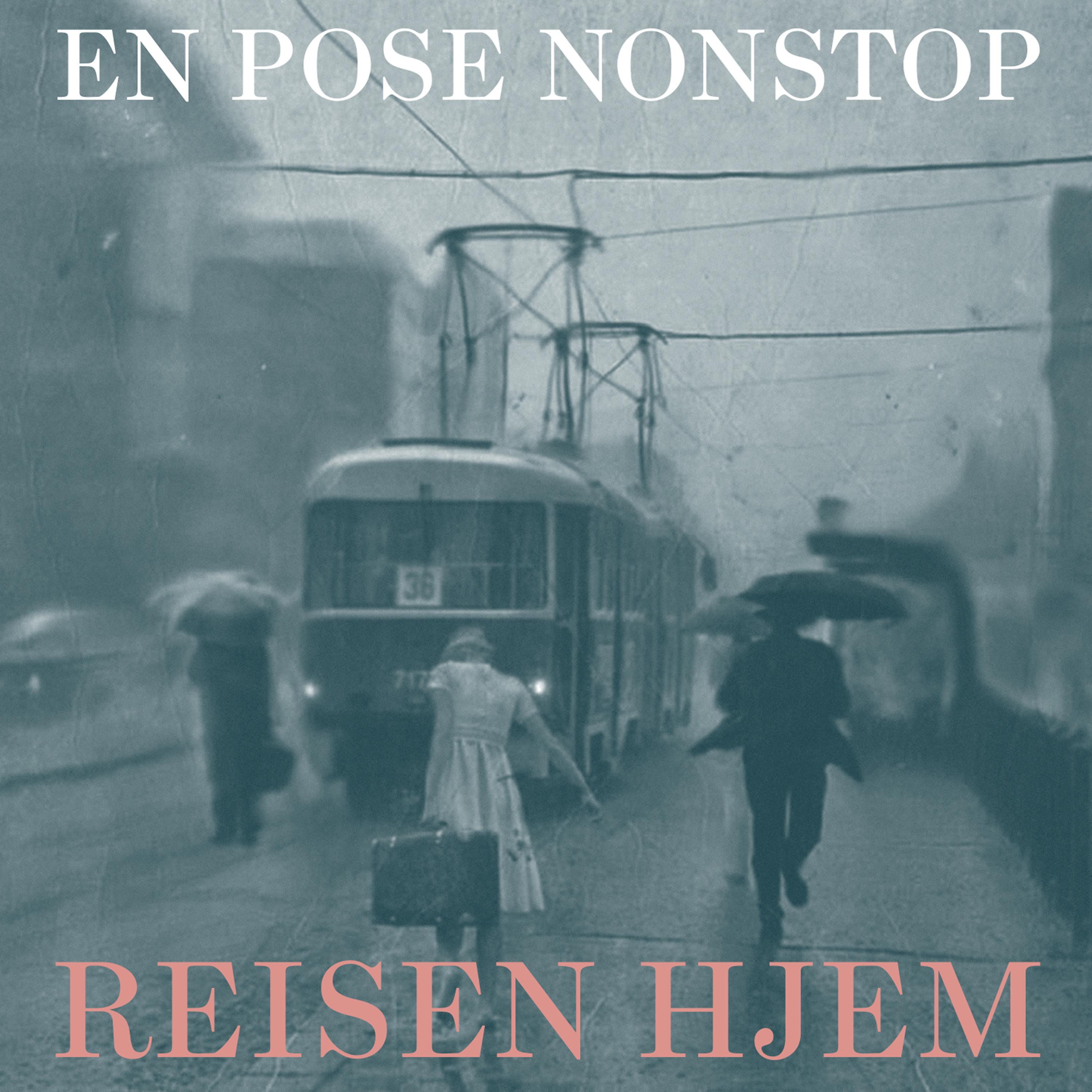 Постер альбома Reisen hjem