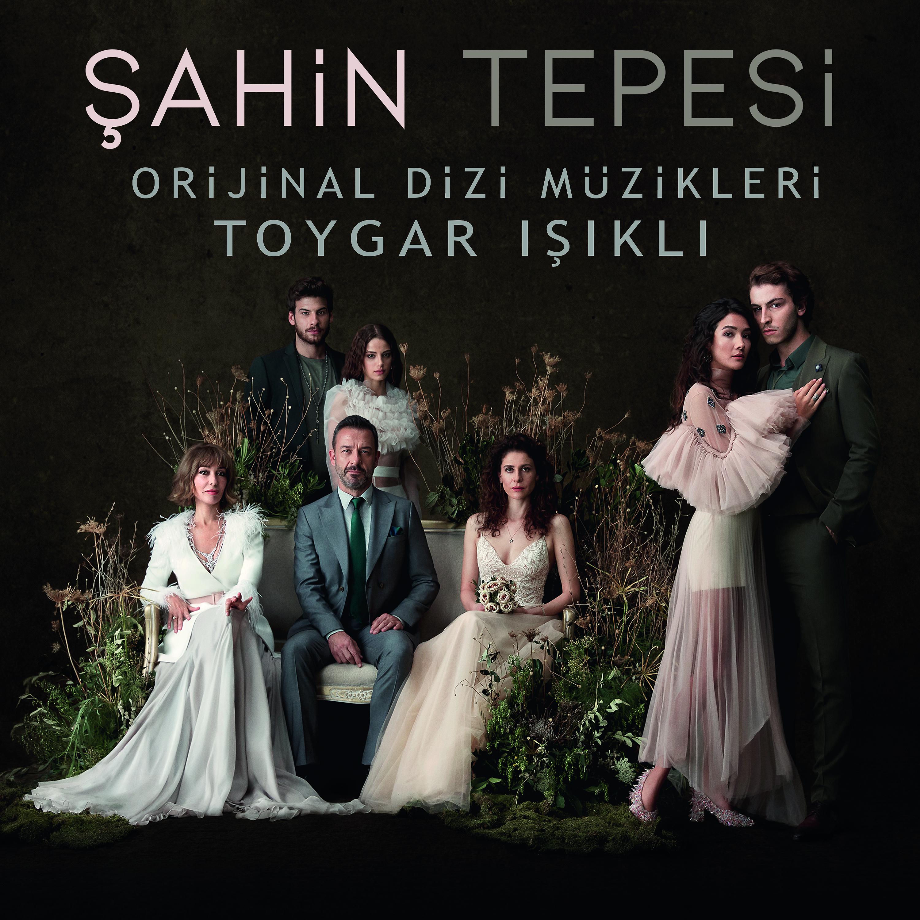 Постер альбома Şahin Tepesi (Orijinal Dizi Müzikleri)