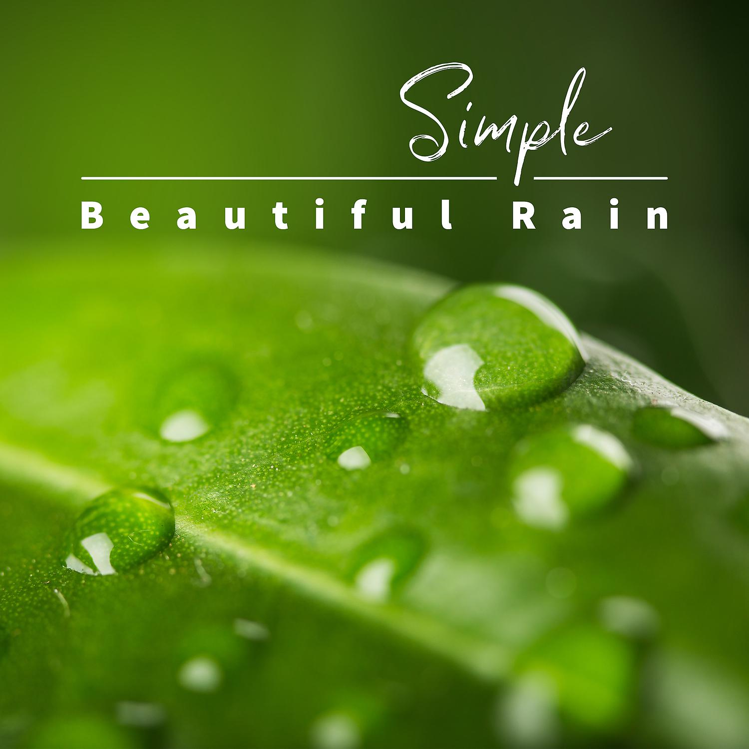 Постер альбома Simple Beautiful Rain - Soothing Sleep, Calm Meditation, Pure Relax for Body, Mind & Soul