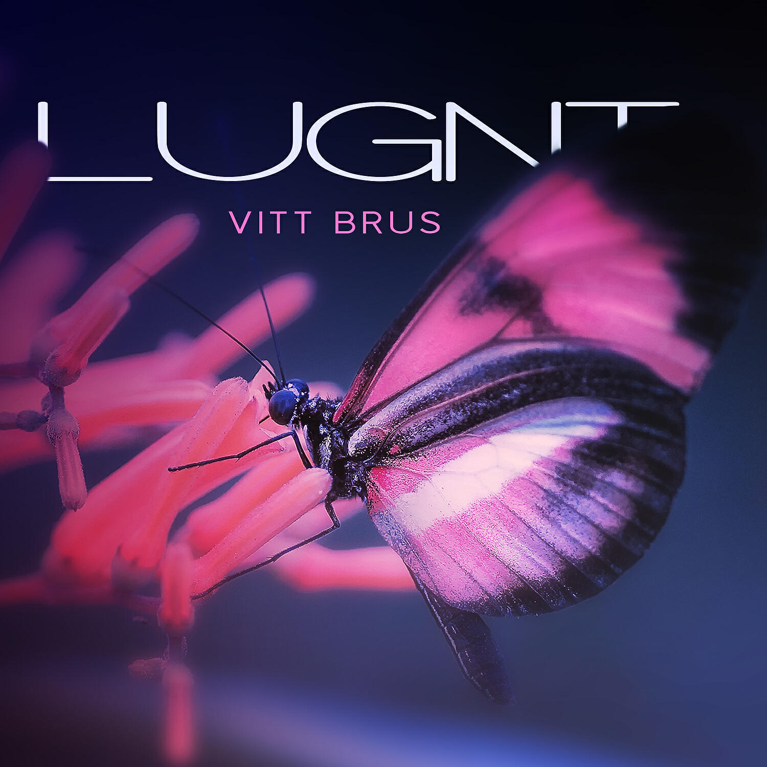 Lugn Musik Atmosfär - Lugnt vitt brus
