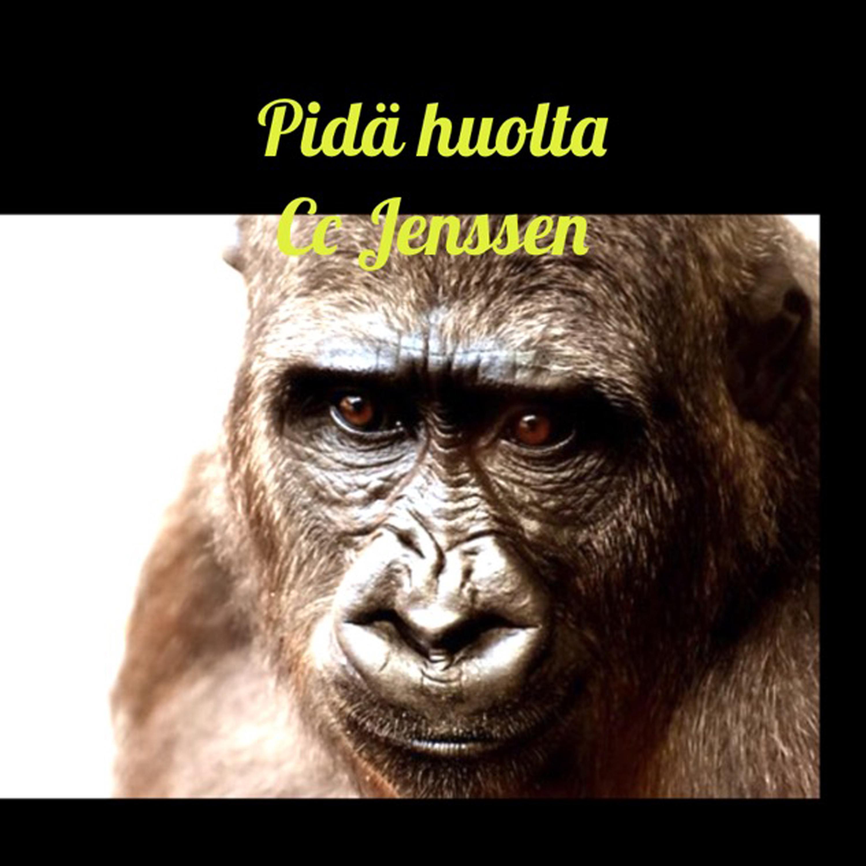 Постер альбома Pidä Huolta