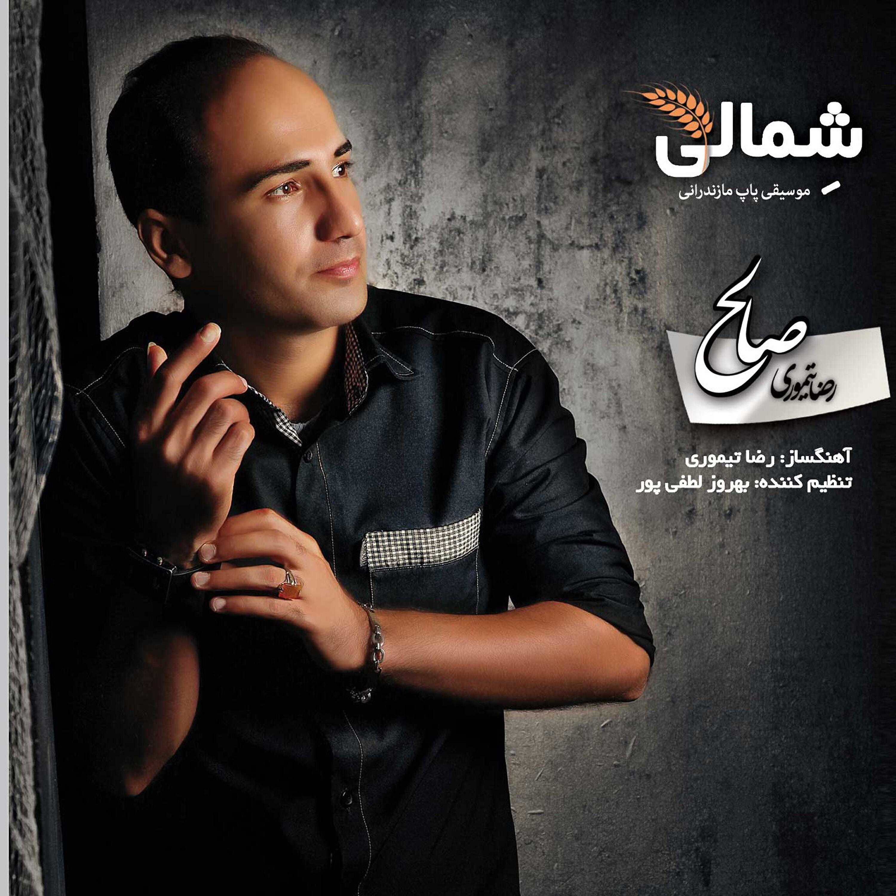 Reza Teymoori - Nesfe Shoo