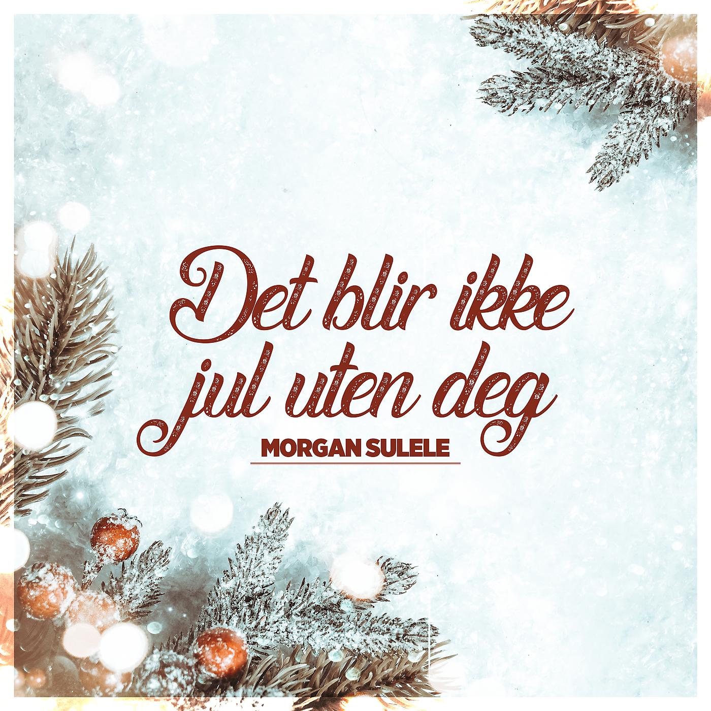 Постер альбома Det blir ikke jul uten deg