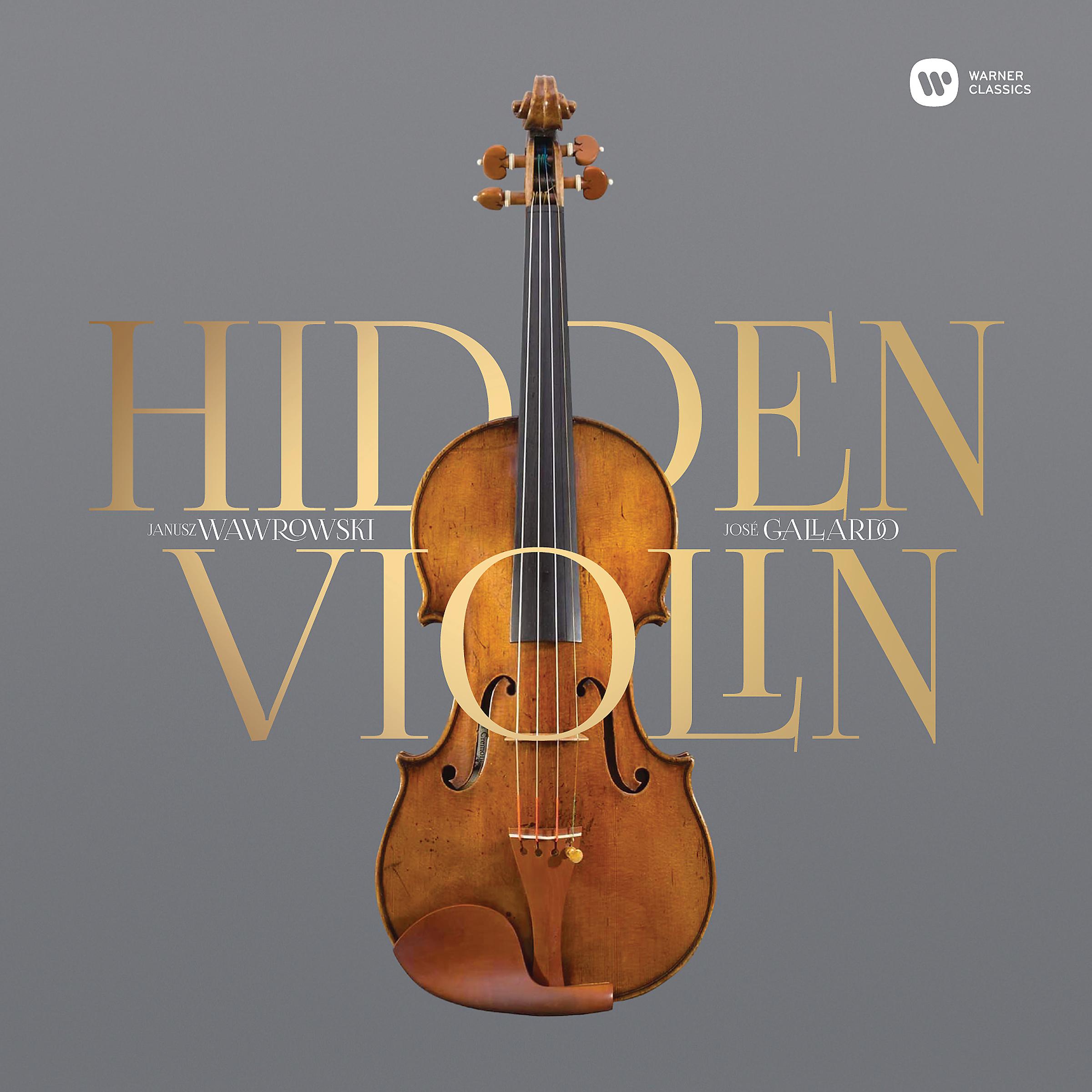 Постер альбома Hidden Violin