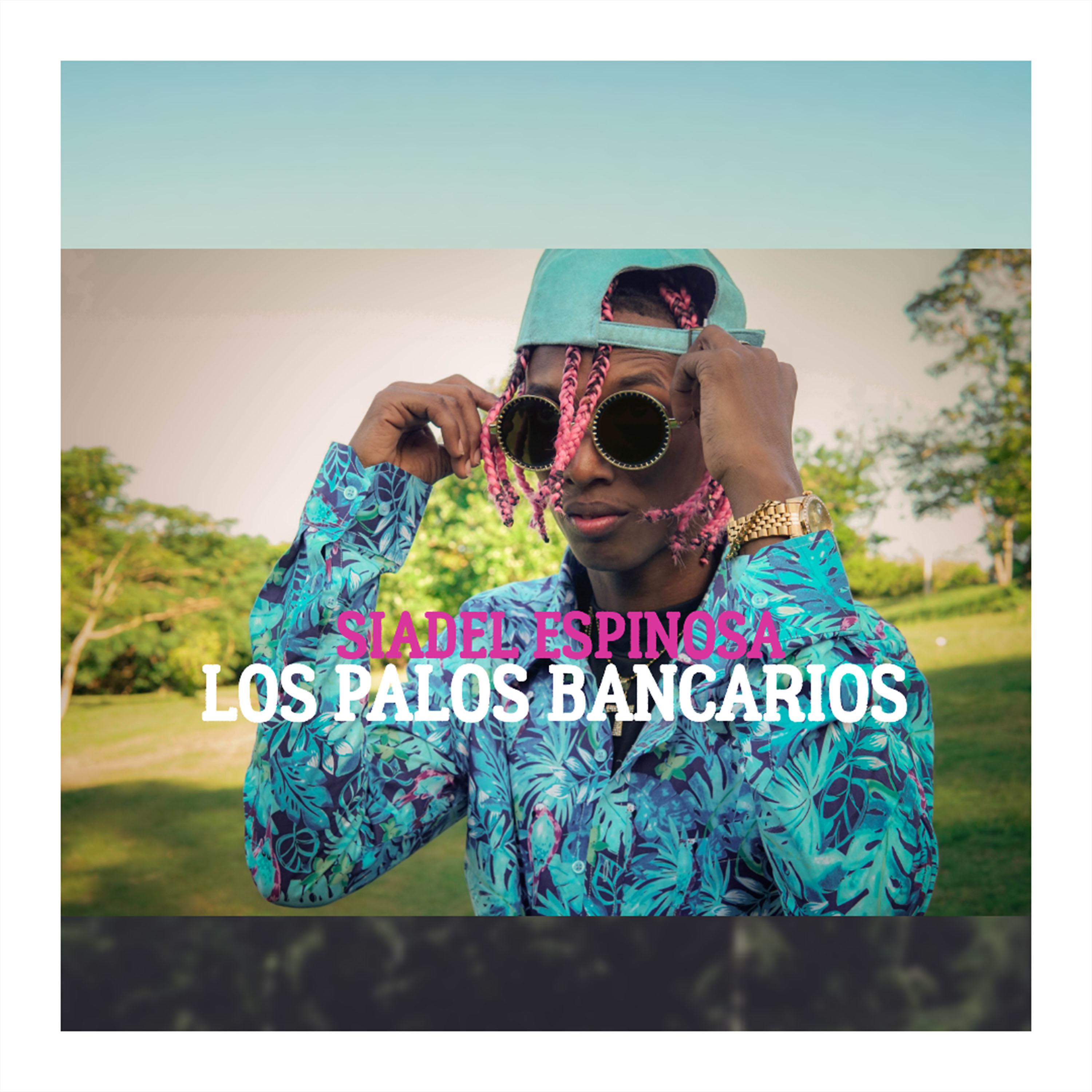 Постер альбома Los Palos Bancarios