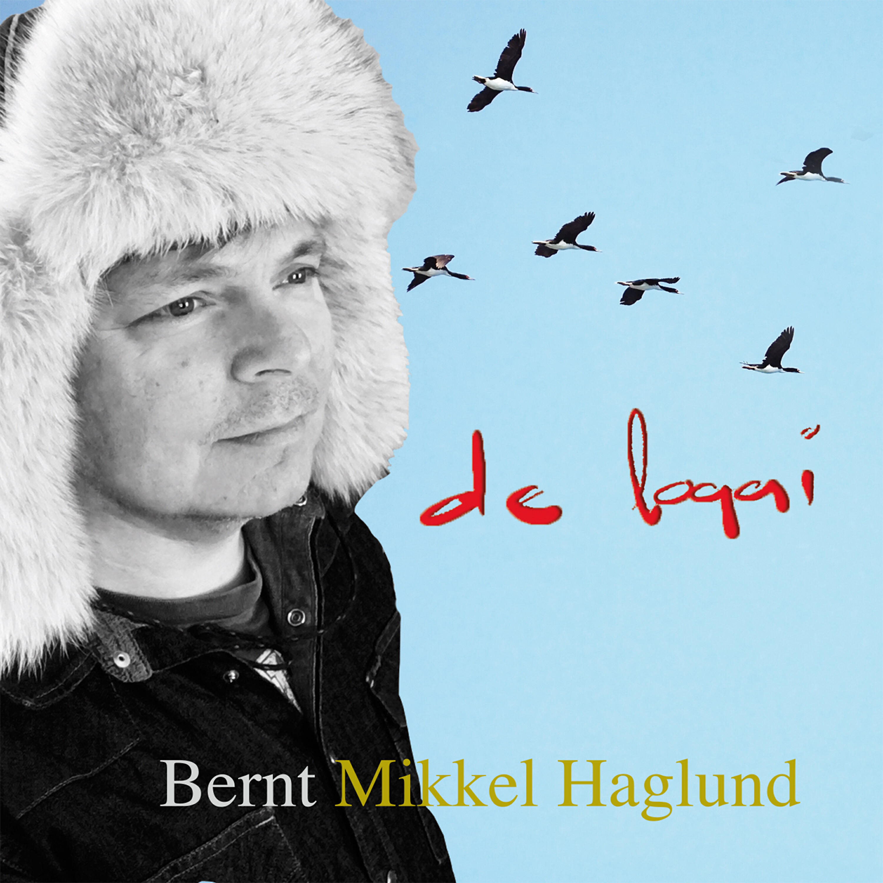 Bernt Mikkel Haglund - Counting crows