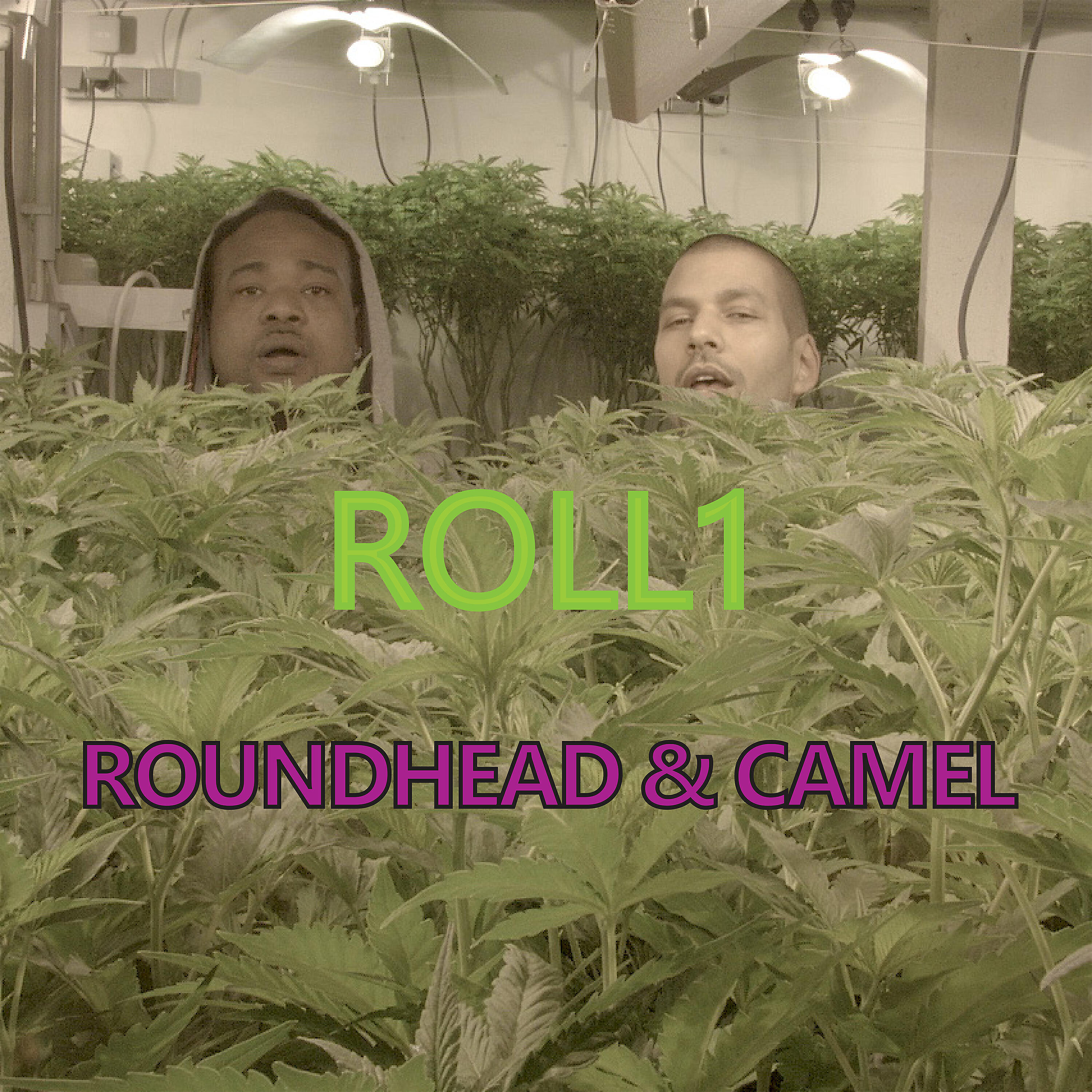 Roundhead - Roll1
