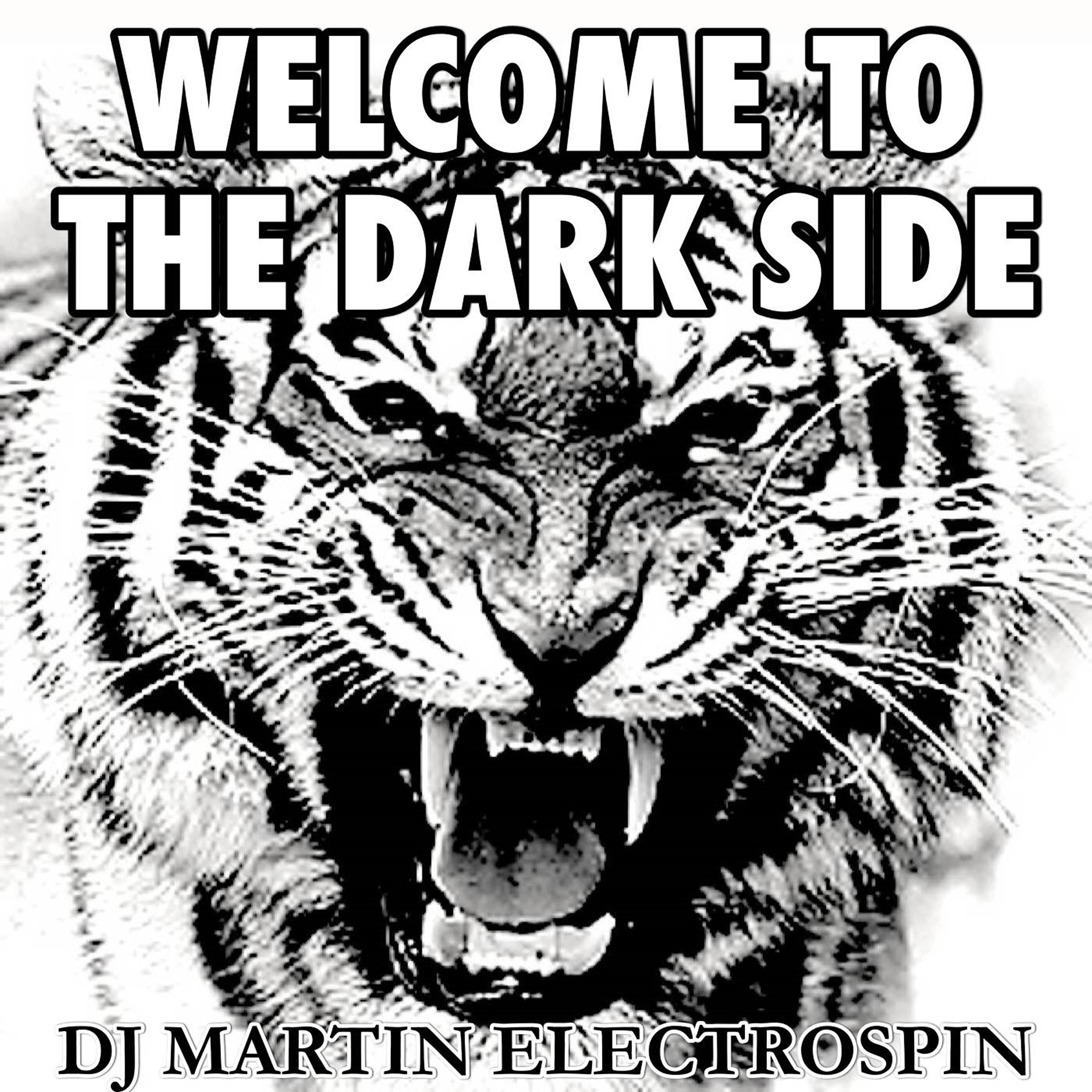 Постер альбома Welcome to the Dark Side