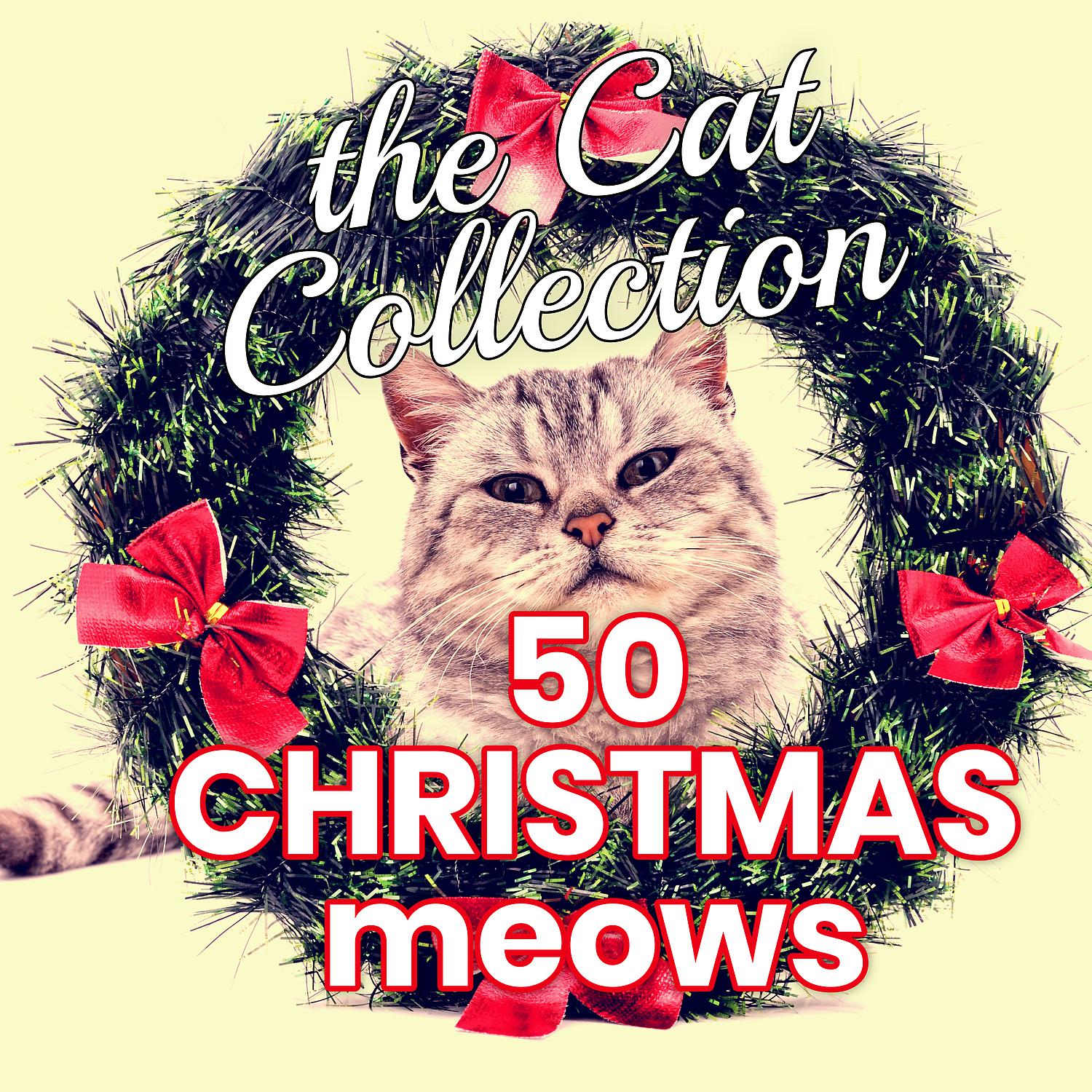 Постер альбома The Cat Collection 50 Christmas Meows