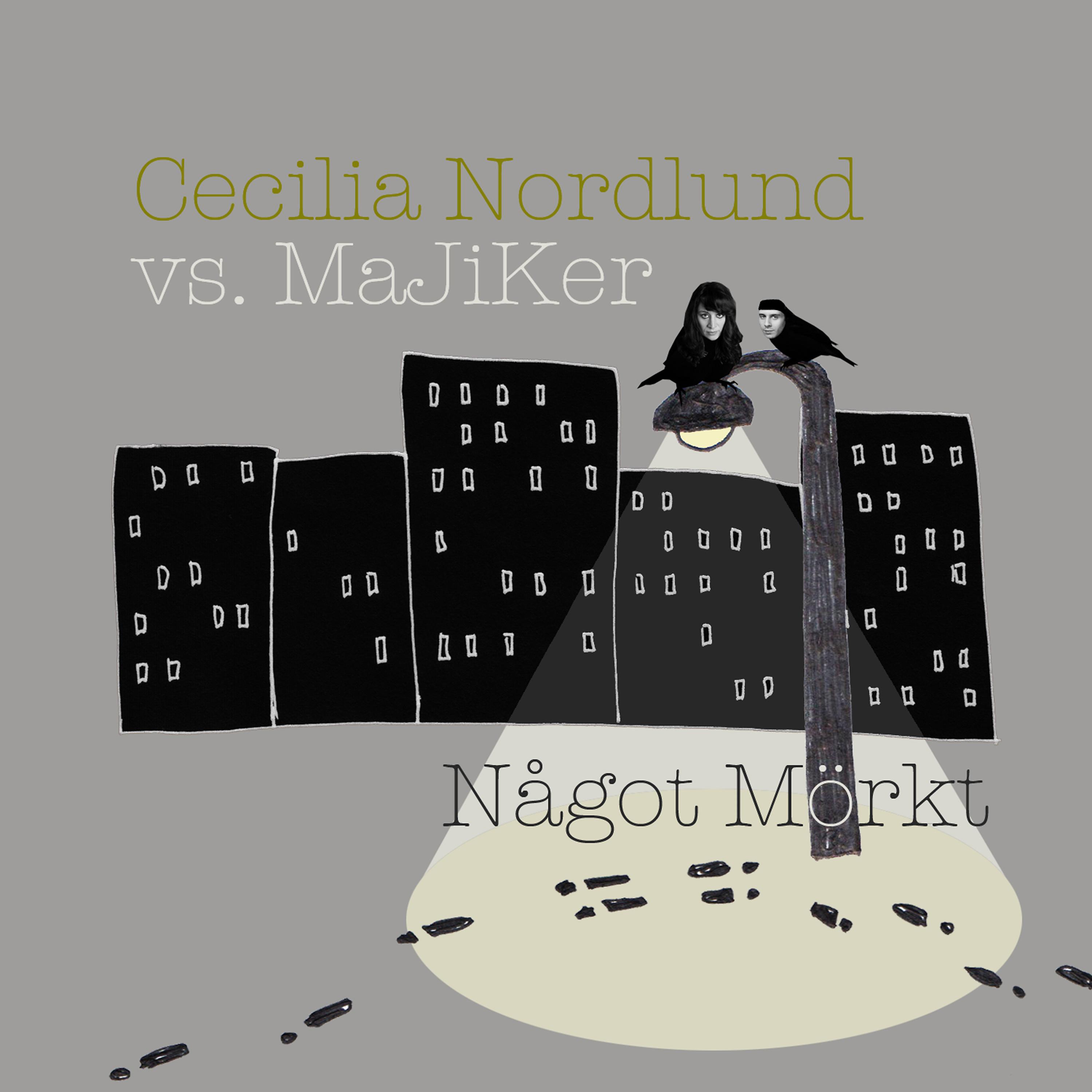 Постер альбома Något Mörkt
