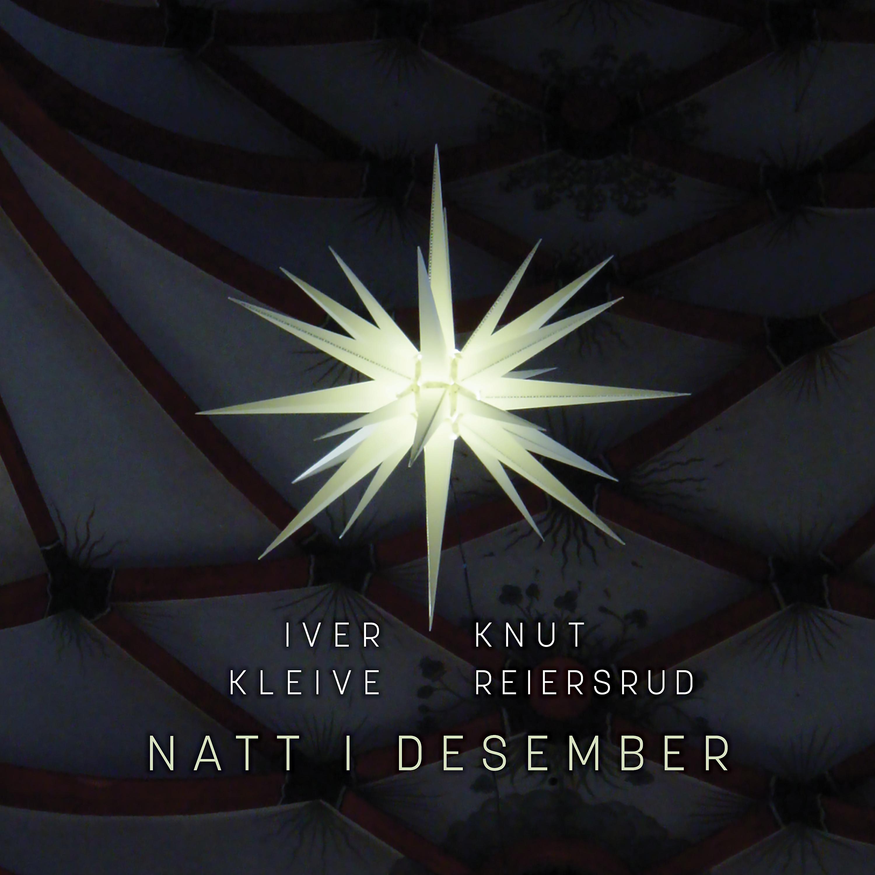 Постер альбома Natt i desember (Night in December)